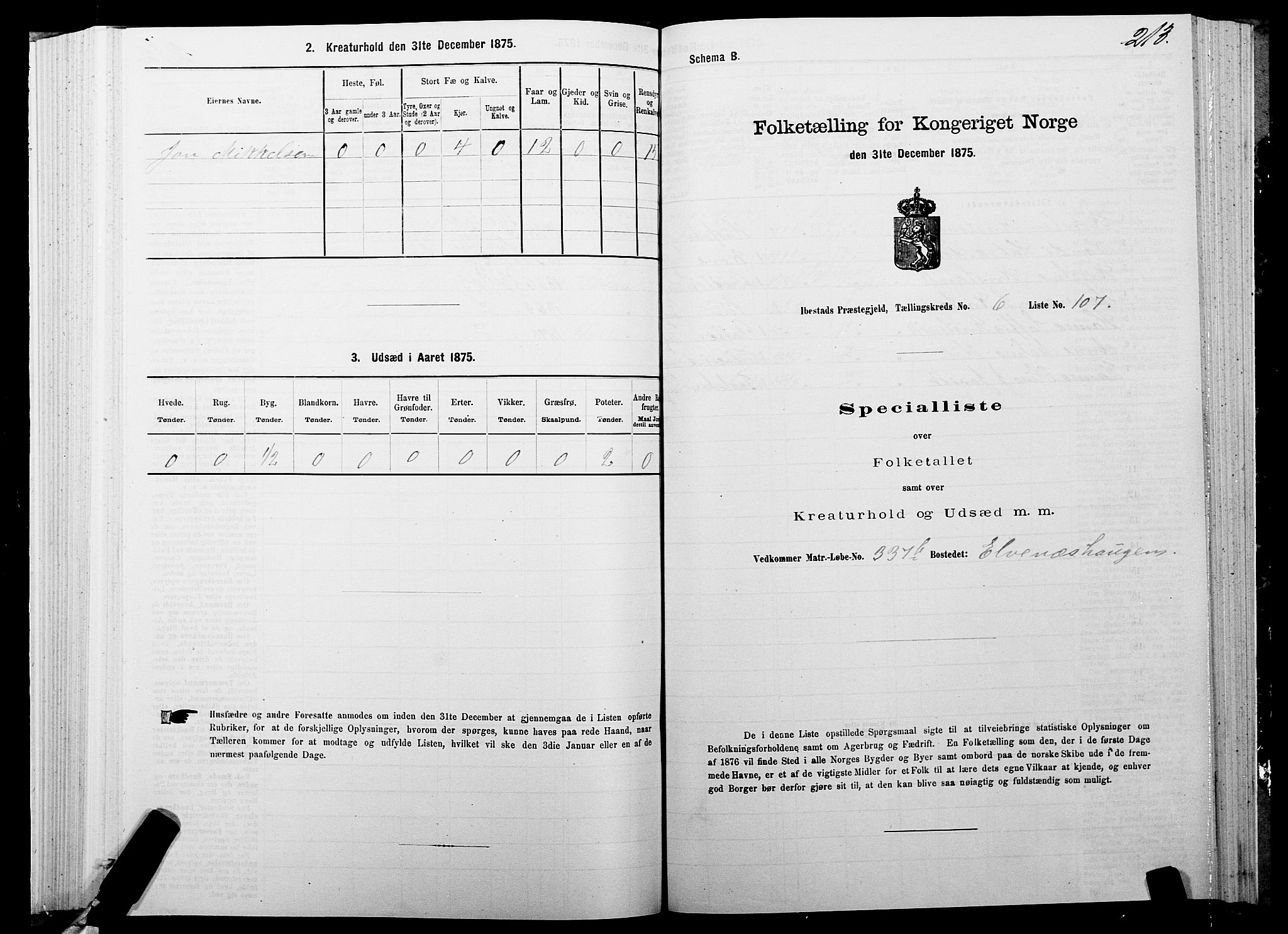 SATØ, Folketelling 1875 for 1917P Ibestad prestegjeld, 1875, s. 4213