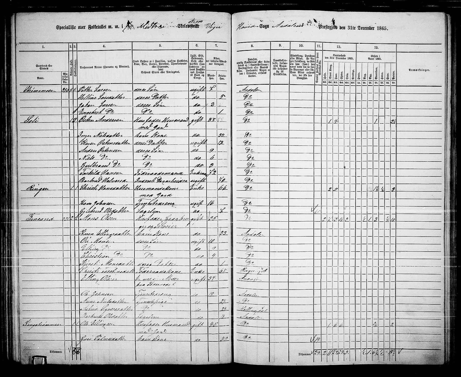 RA, Folketelling 1865 for 0614P Ådal prestegjeld, 1865, s. 59