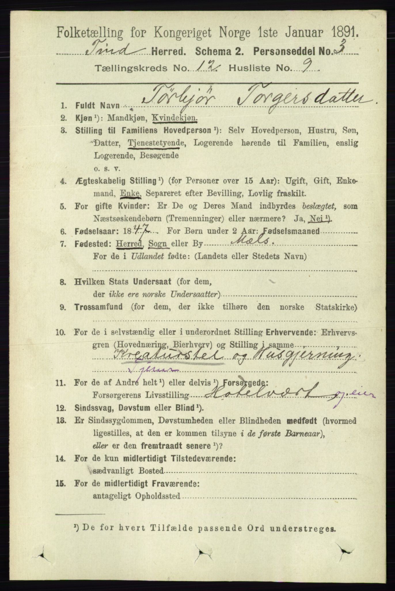 RA, Folketelling 1891 for 0826 Tinn herred, 1891, s. 2363