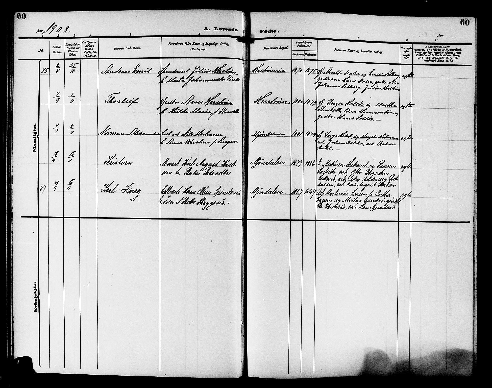 Nedre Eiker kirkebøker, AV/SAKO-A-612/G/Ga/L0004: Klokkerbok nr. 4, 1905-1912, s. 60