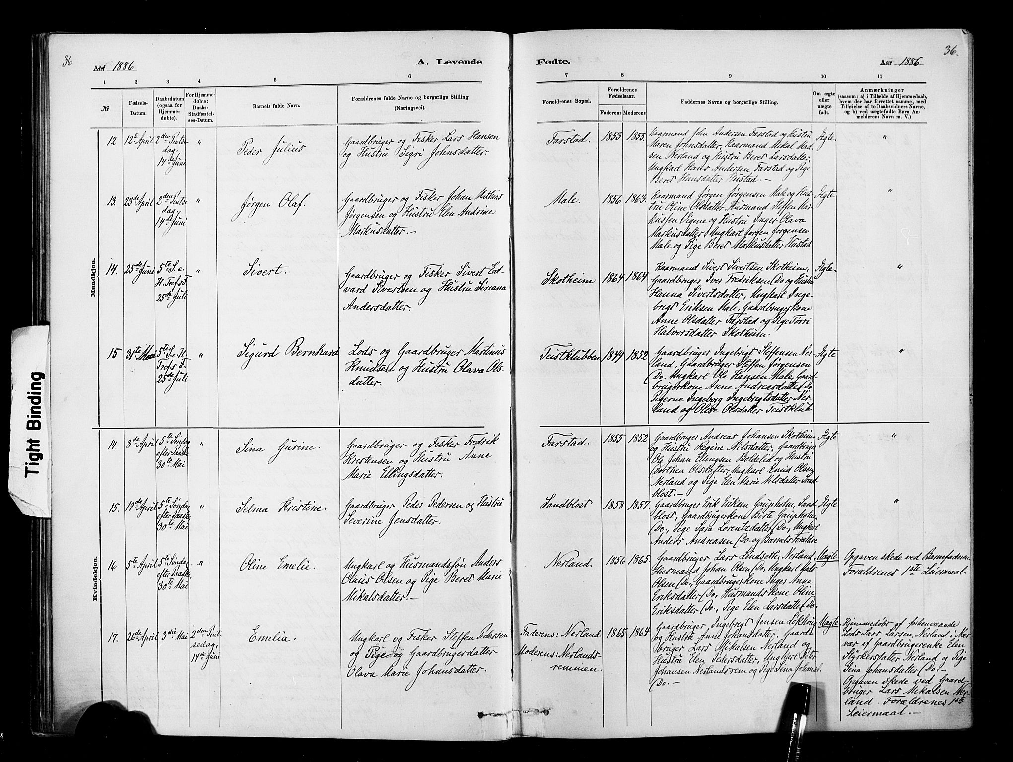 Ministerialprotokoller, klokkerbøker og fødselsregistre - Møre og Romsdal, AV/SAT-A-1454/567/L0778: Ministerialbok nr. 567A01, 1881-1903, s. 36