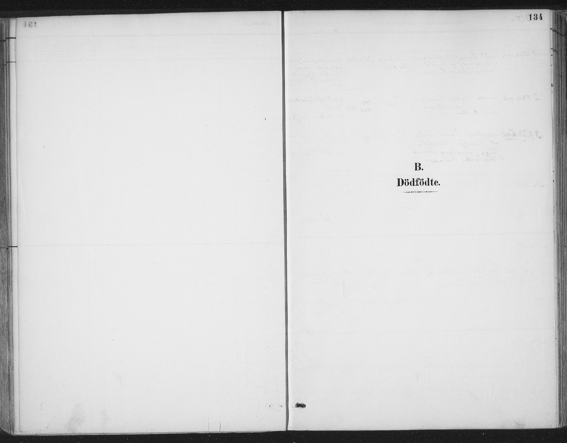 Ministerialprotokoller, klokkerbøker og fødselsregistre - Møre og Romsdal, AV/SAT-A-1454/555/L0658: Ministerialbok nr. 555A09, 1887-1917, s. 134