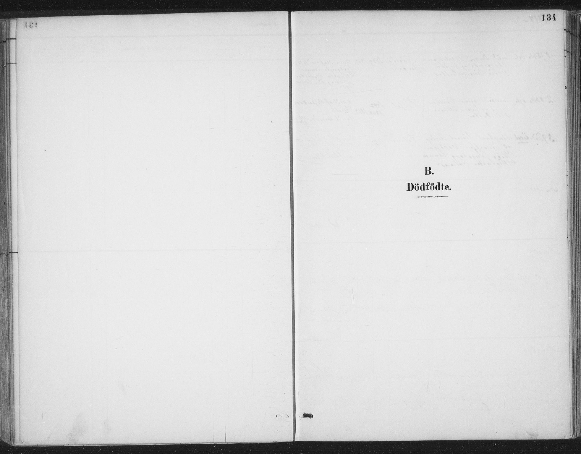 Ministerialprotokoller, klokkerbøker og fødselsregistre - Møre og Romsdal, SAT/A-1454/555/L0658: Ministerialbok nr. 555A09, 1887-1917, s. 134