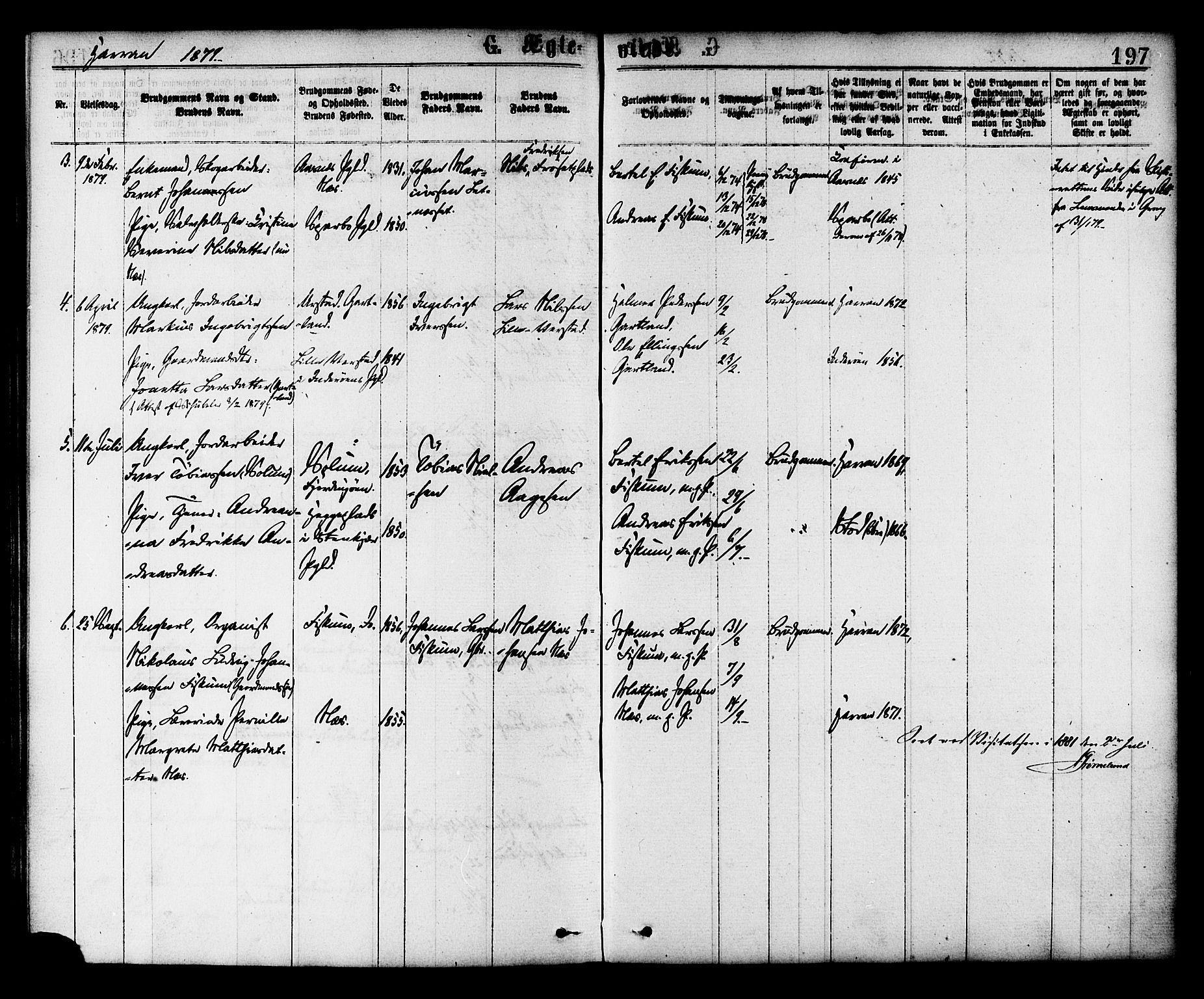 Ministerialprotokoller, klokkerbøker og fødselsregistre - Nord-Trøndelag, AV/SAT-A-1458/758/L0516: Ministerialbok nr. 758A03 /3, 1869-1879, s. 197