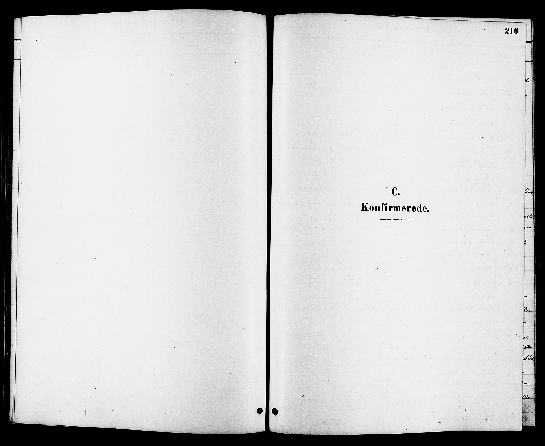 Heddal kirkebøker, SAKO/A-268/G/Ga/L0002: Klokkerbok nr. I 2, 1879-1908, s. 216