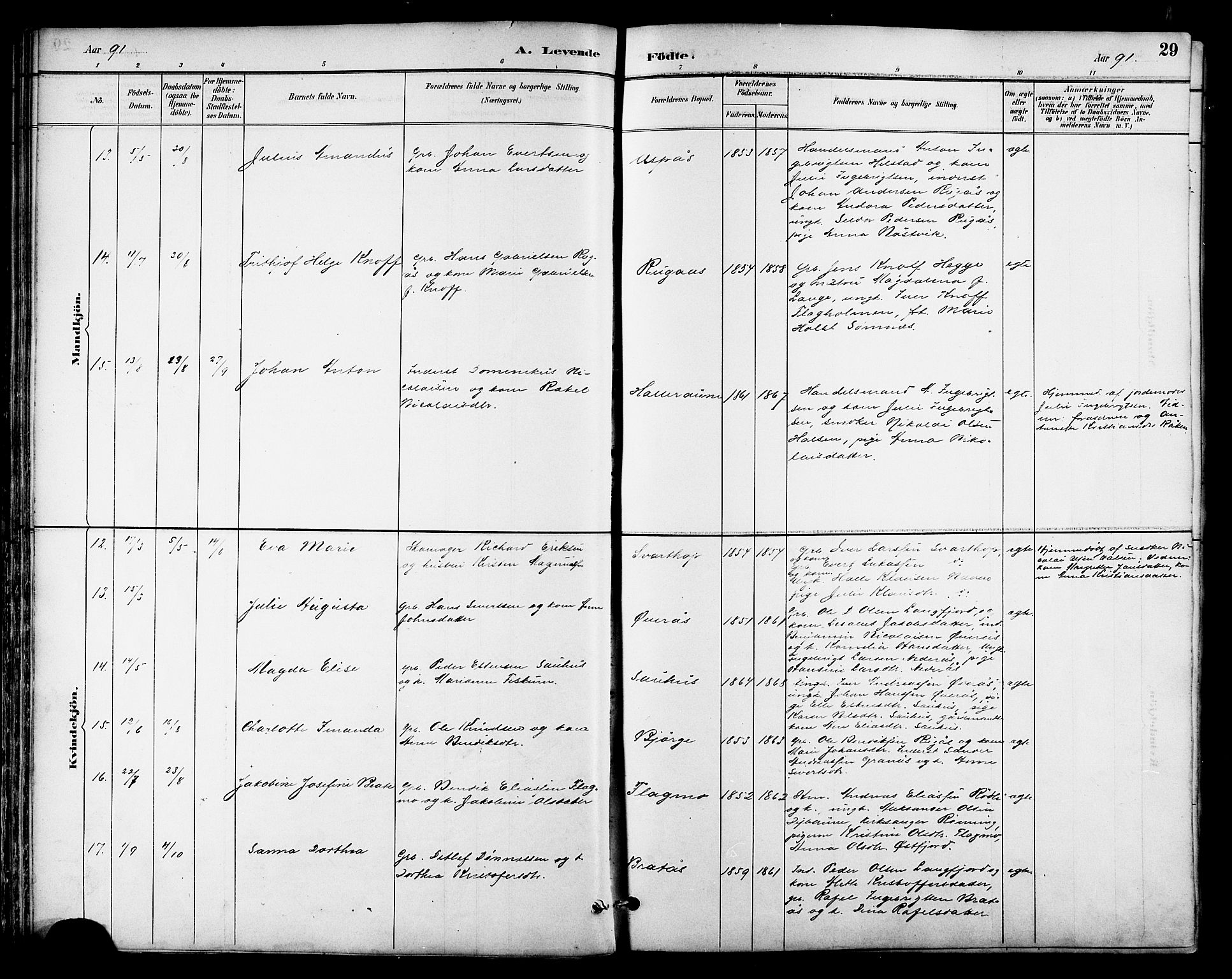 Ministerialprotokoller, klokkerbøker og fødselsregistre - Nordland, AV/SAT-A-1459/814/L0230: Klokkerbok nr. 814C03, 1884-1911, s. 29