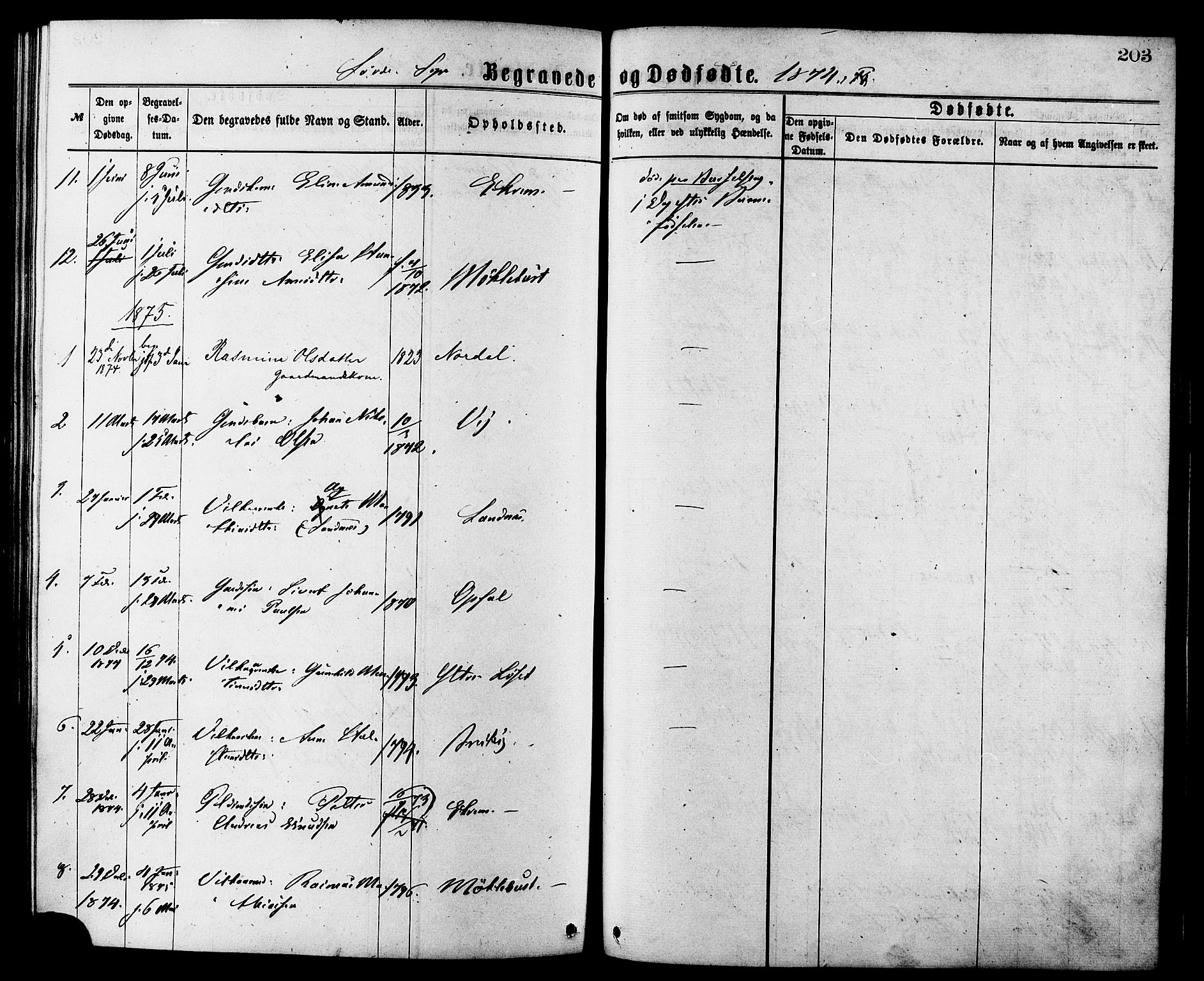 Ministerialprotokoller, klokkerbøker og fødselsregistre - Møre og Romsdal, AV/SAT-A-1454/502/L0024: Ministerialbok nr. 502A02, 1873-1884, s. 203