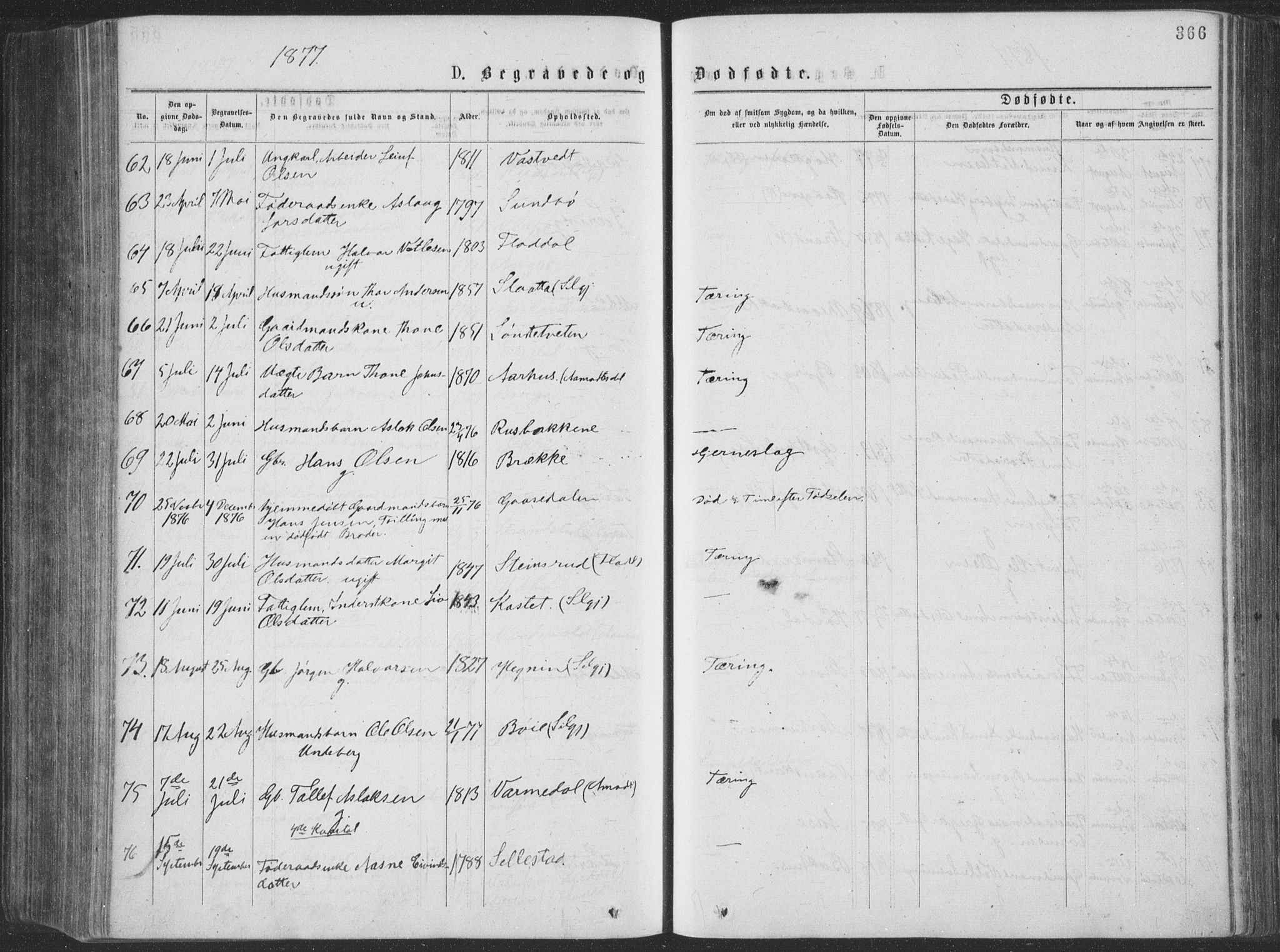 Seljord kirkebøker, AV/SAKO-A-20/F/Fa/L0014: Ministerialbok nr. I 14, 1877-1886, s. 366