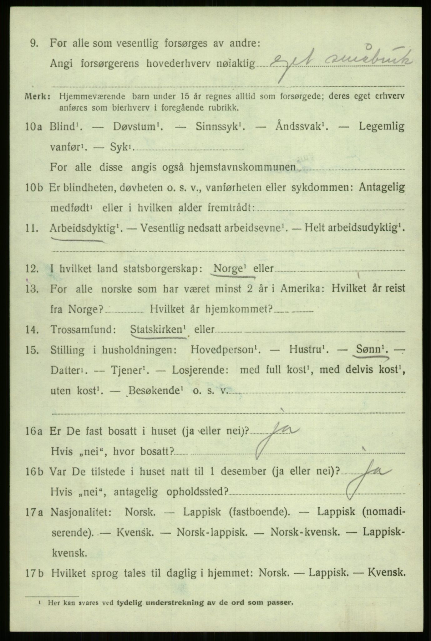 SATØ, Folketelling 1920 for 1914 Trondenes herred, 1920, s. 3388