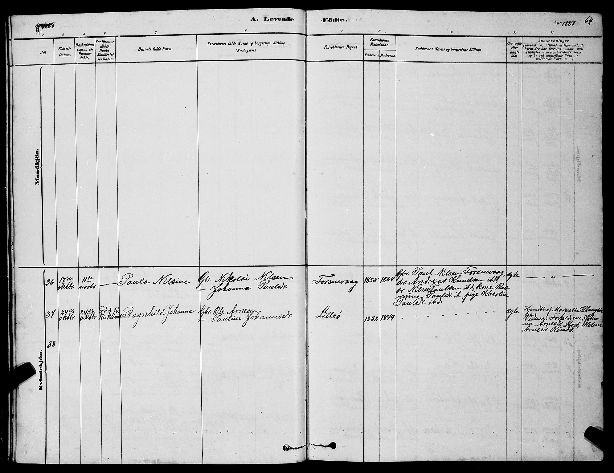 Ministerialprotokoller, klokkerbøker og fødselsregistre - Møre og Romsdal, AV/SAT-A-1454/507/L0081: Klokkerbok nr. 507C04, 1878-1898, s. 64