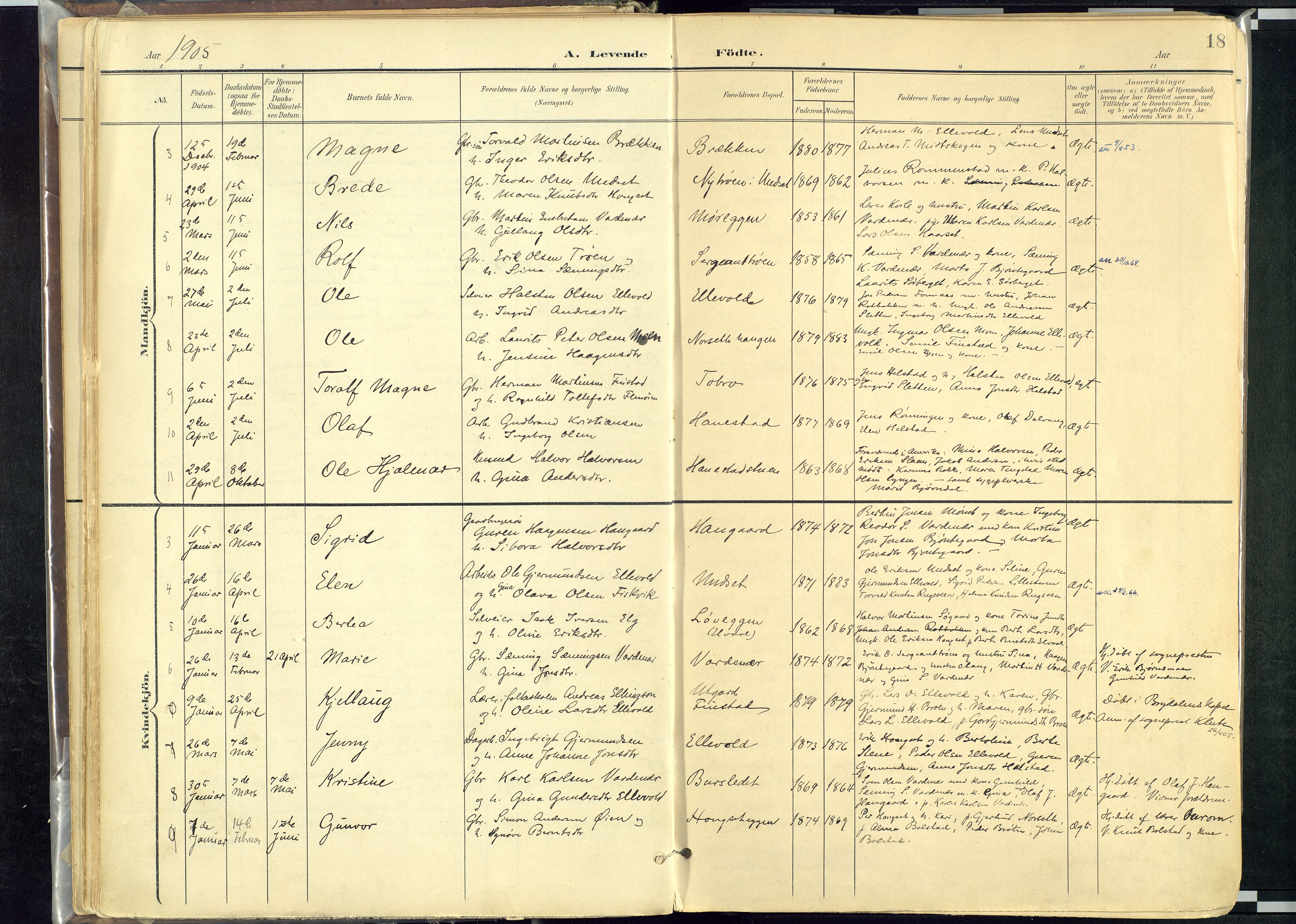 Rendalen prestekontor, AV/SAH-PREST-054/H/Ha/Haa/L0012: Ministerialbok nr. 12, 1901-1928, s. 18