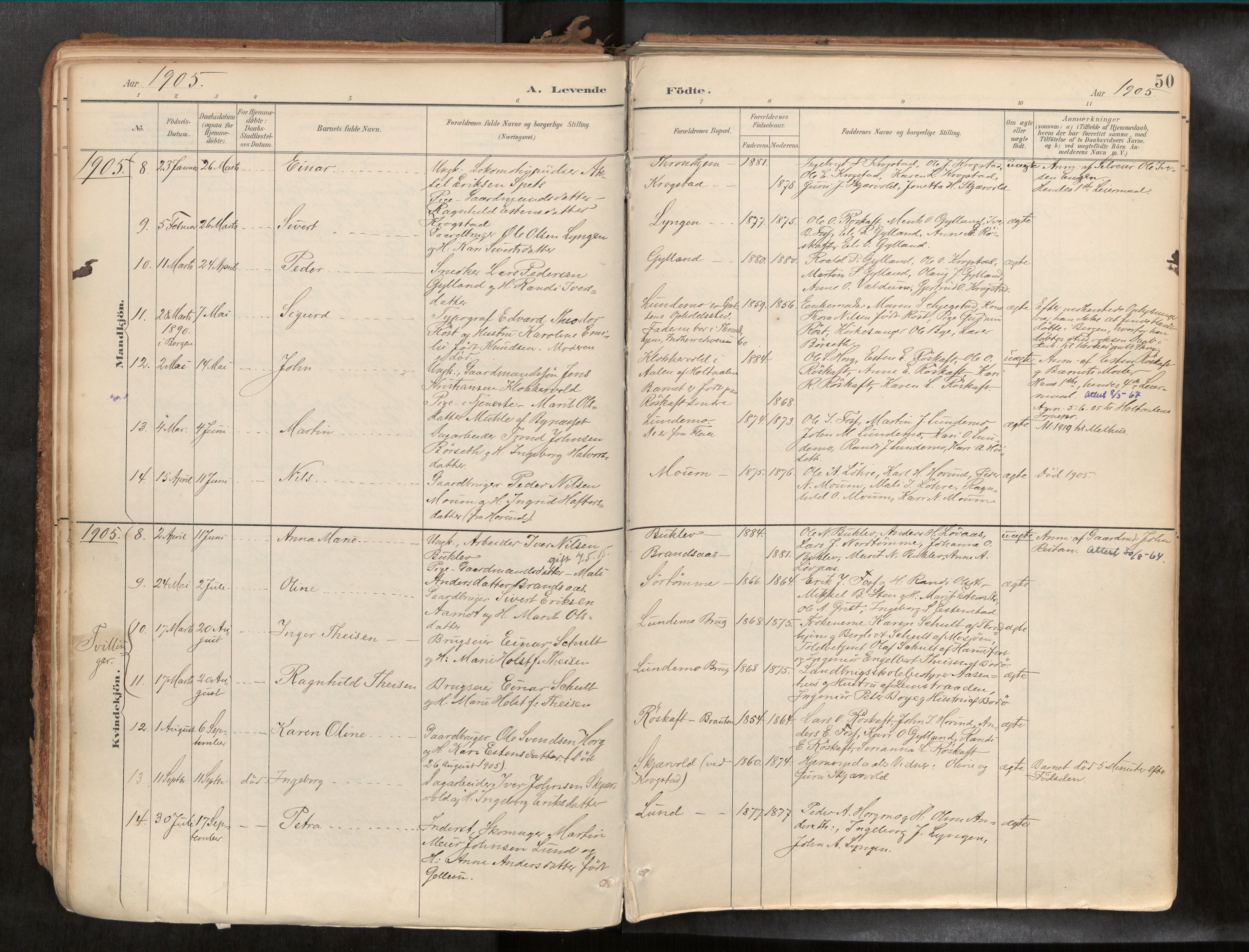 Ministerialprotokoller, klokkerbøker og fødselsregistre - Sør-Trøndelag, AV/SAT-A-1456/692/L1105b: Ministerialbok nr. 692A06, 1891-1934, s. 50