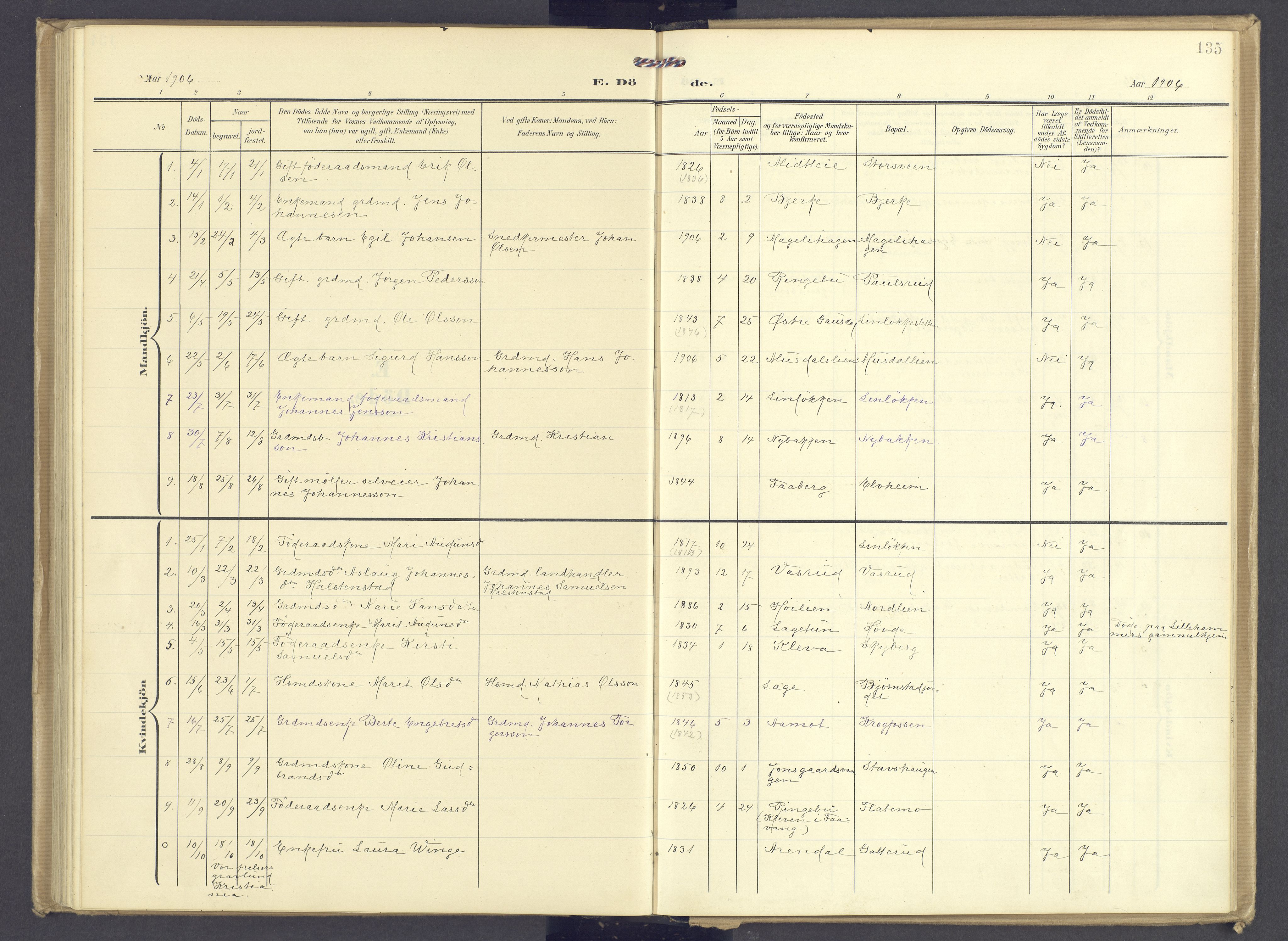 Øyer prestekontor, AV/SAH-PREST-084/H/Ha/Haa/L0013: Ministerialbok nr. 13, 1905-1920, s. 135