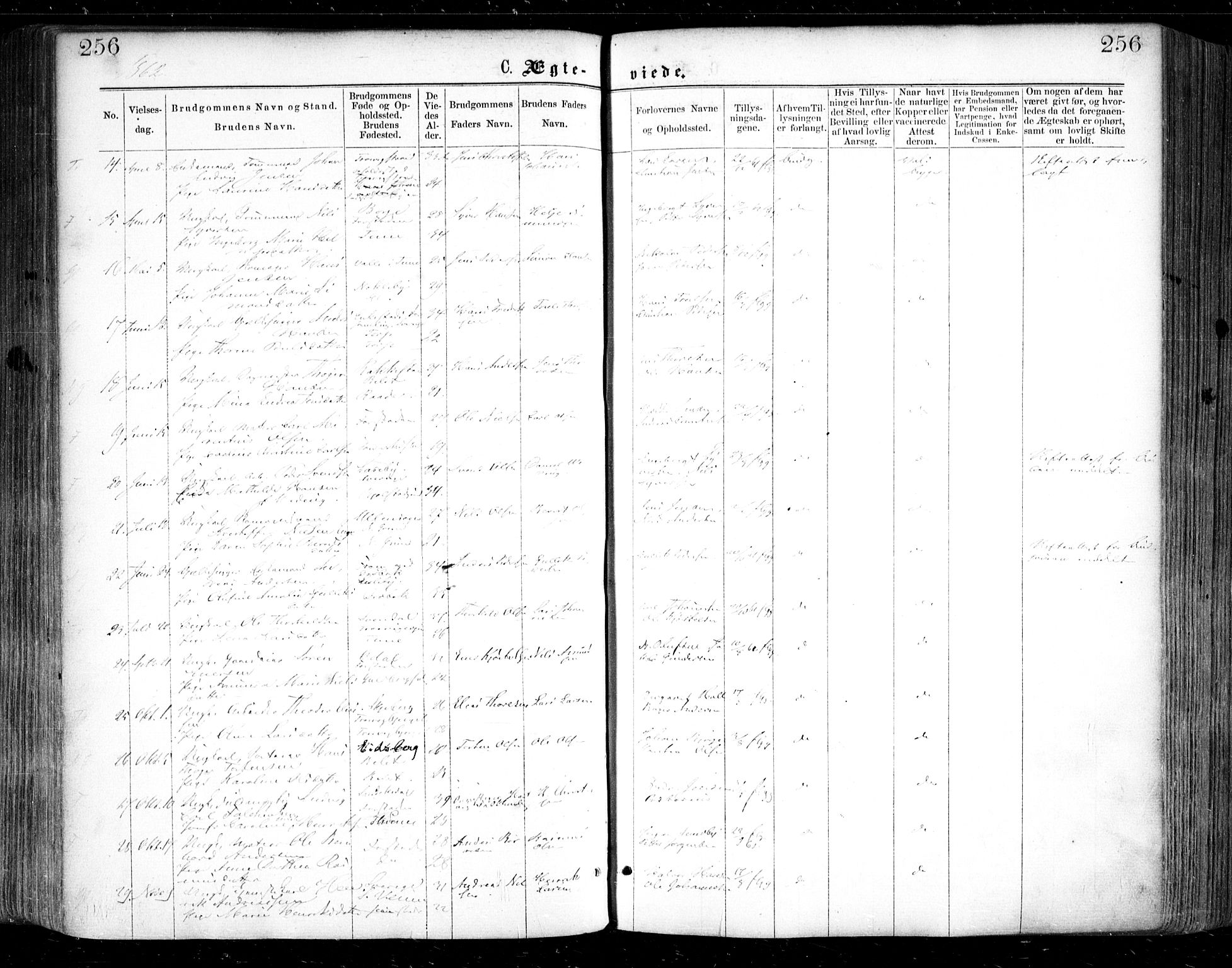 Glemmen prestekontor Kirkebøker, SAO/A-10908/F/Fa/L0008: Ministerialbok nr. 8, 1862-1871, s. 256