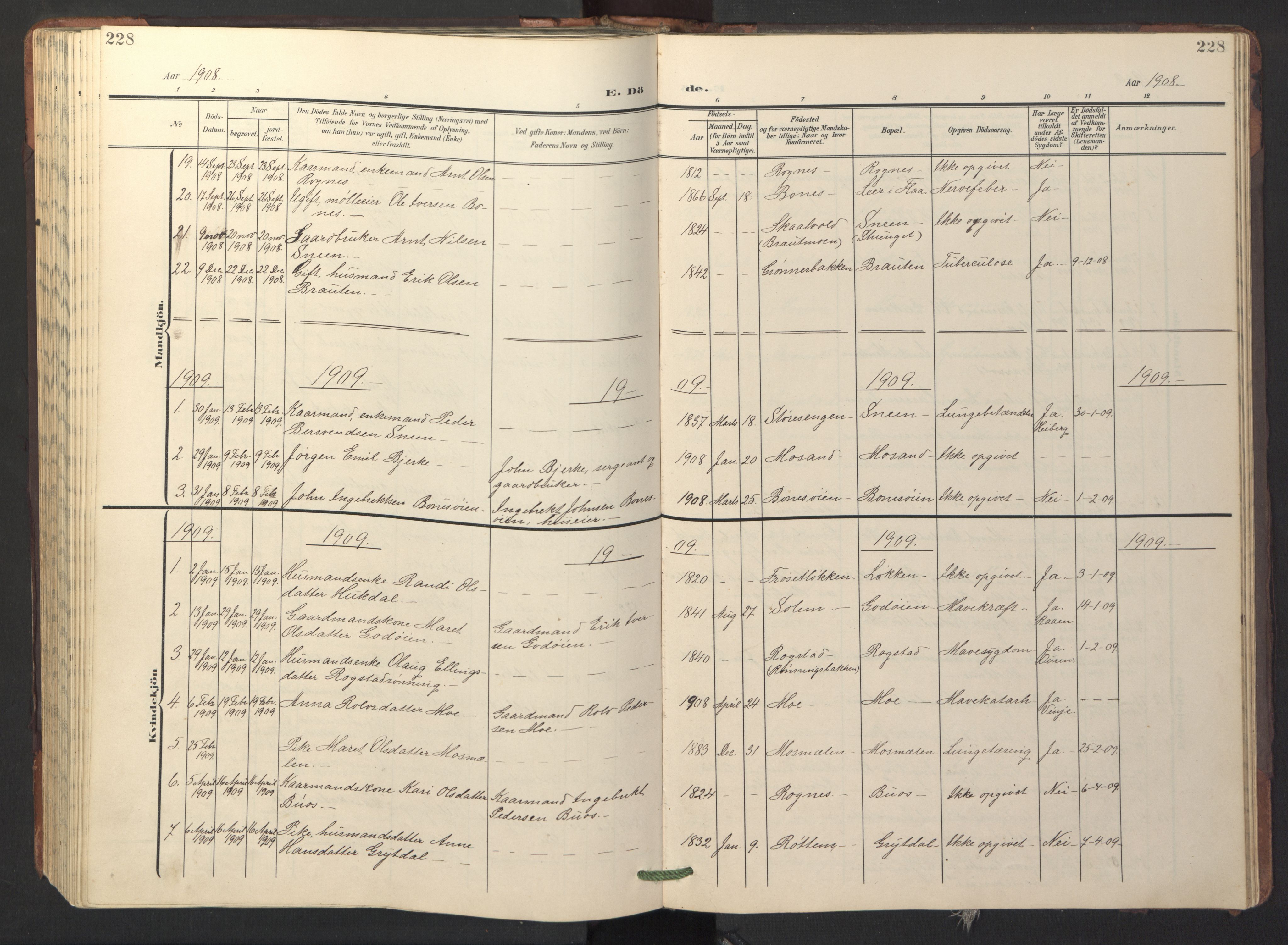 Ministerialprotokoller, klokkerbøker og fødselsregistre - Sør-Trøndelag, AV/SAT-A-1456/687/L1019: Klokkerbok nr. 687C03, 1904-1931, s. 228