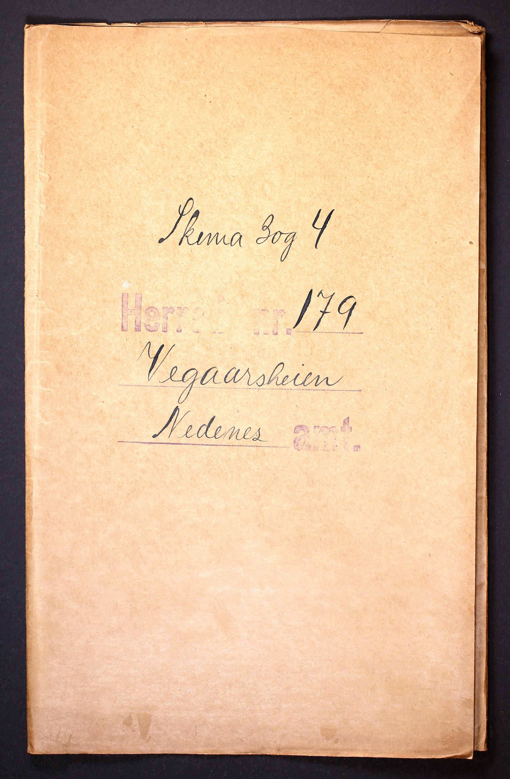 RA, Folketelling 1910 for 0912 Vegårshei herred, 1910, s. 1