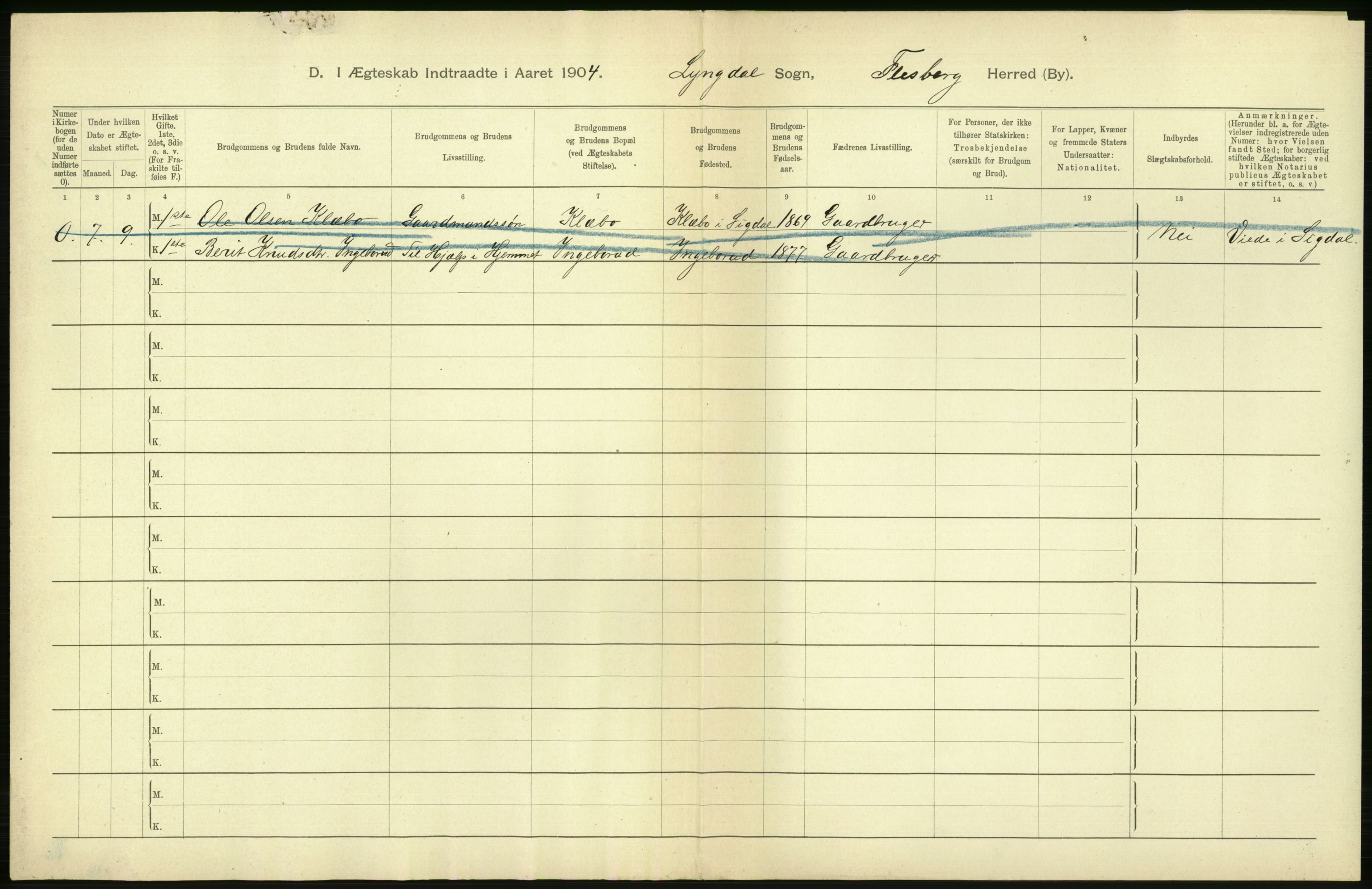 Statistisk sentralbyrå, Sosiodemografiske emner, Befolkning, AV/RA-S-2228/D/Df/Dfa/Dfab/L0007: Buskerud amt: Fødte, gifte, døde, 1904, s. 498