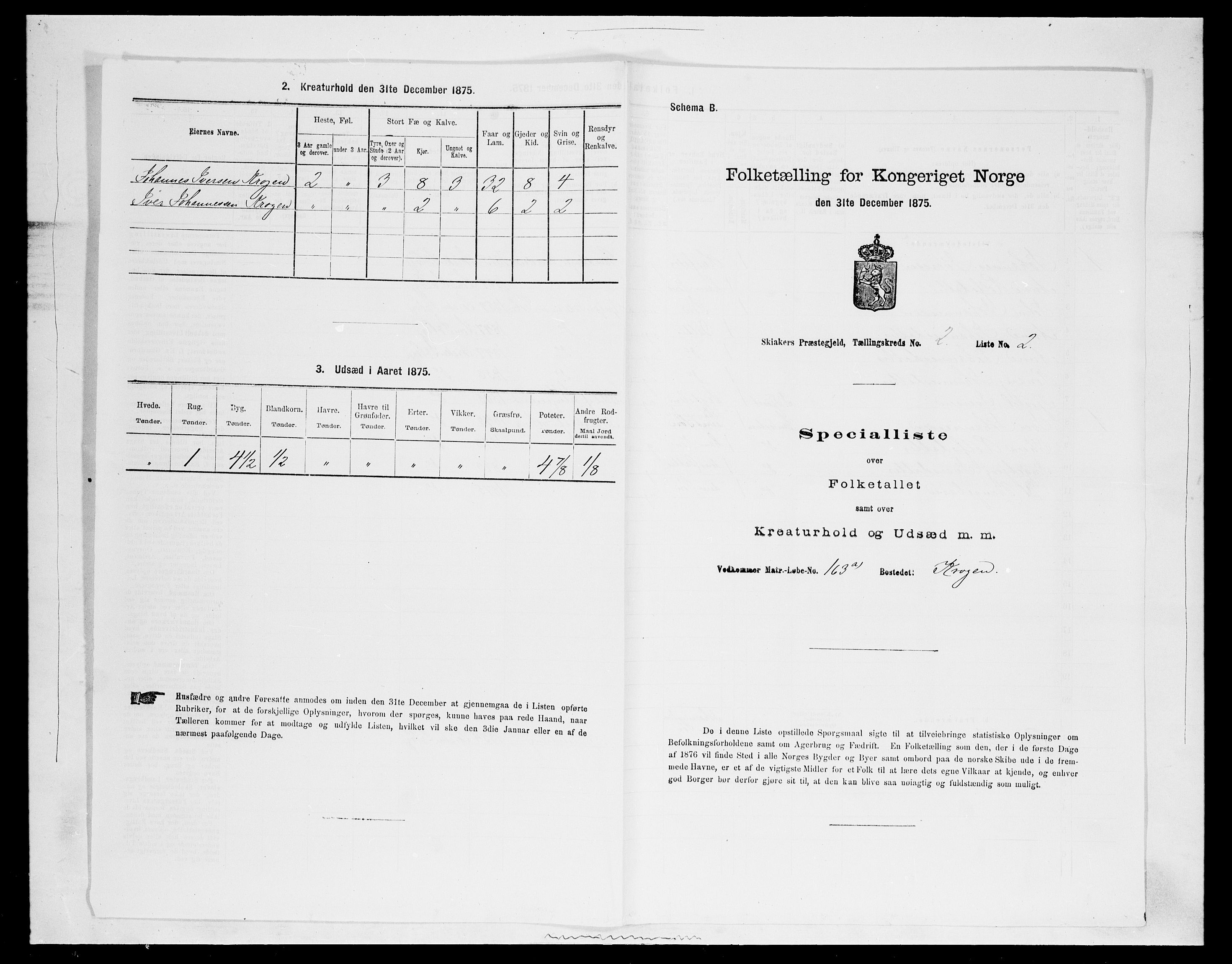 SAH, Folketelling 1875 for 0513P Skjåk prestegjeld, 1875, s. 162