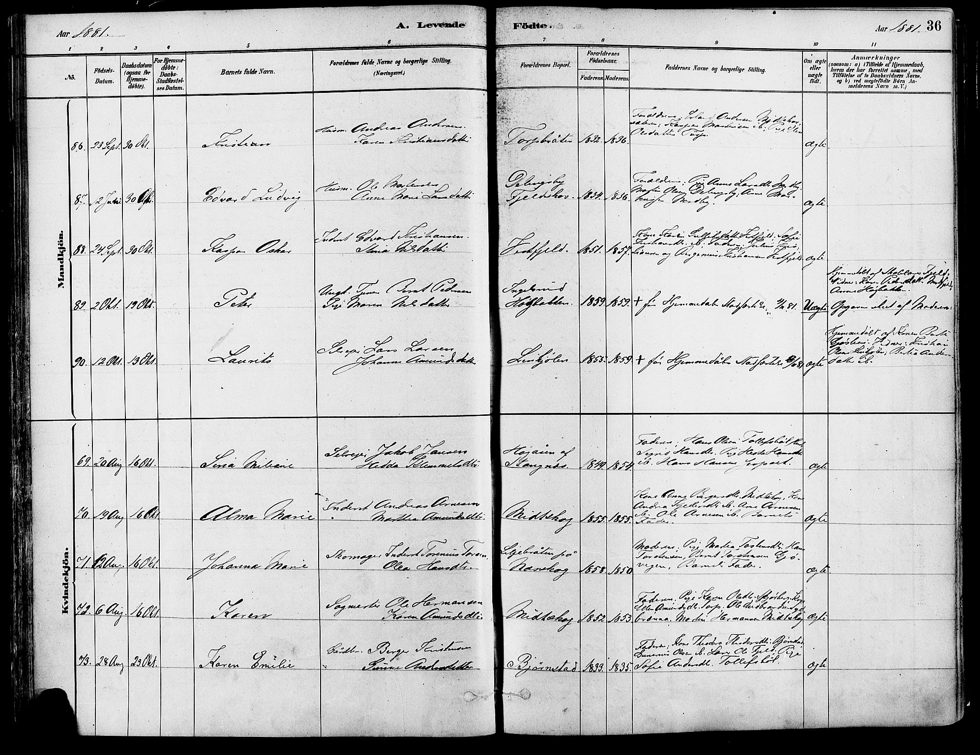 Eidskog prestekontor, AV/SAH-PREST-026/H/Ha/Haa/L0003: Ministerialbok nr. 3, 1879-1892, s. 36