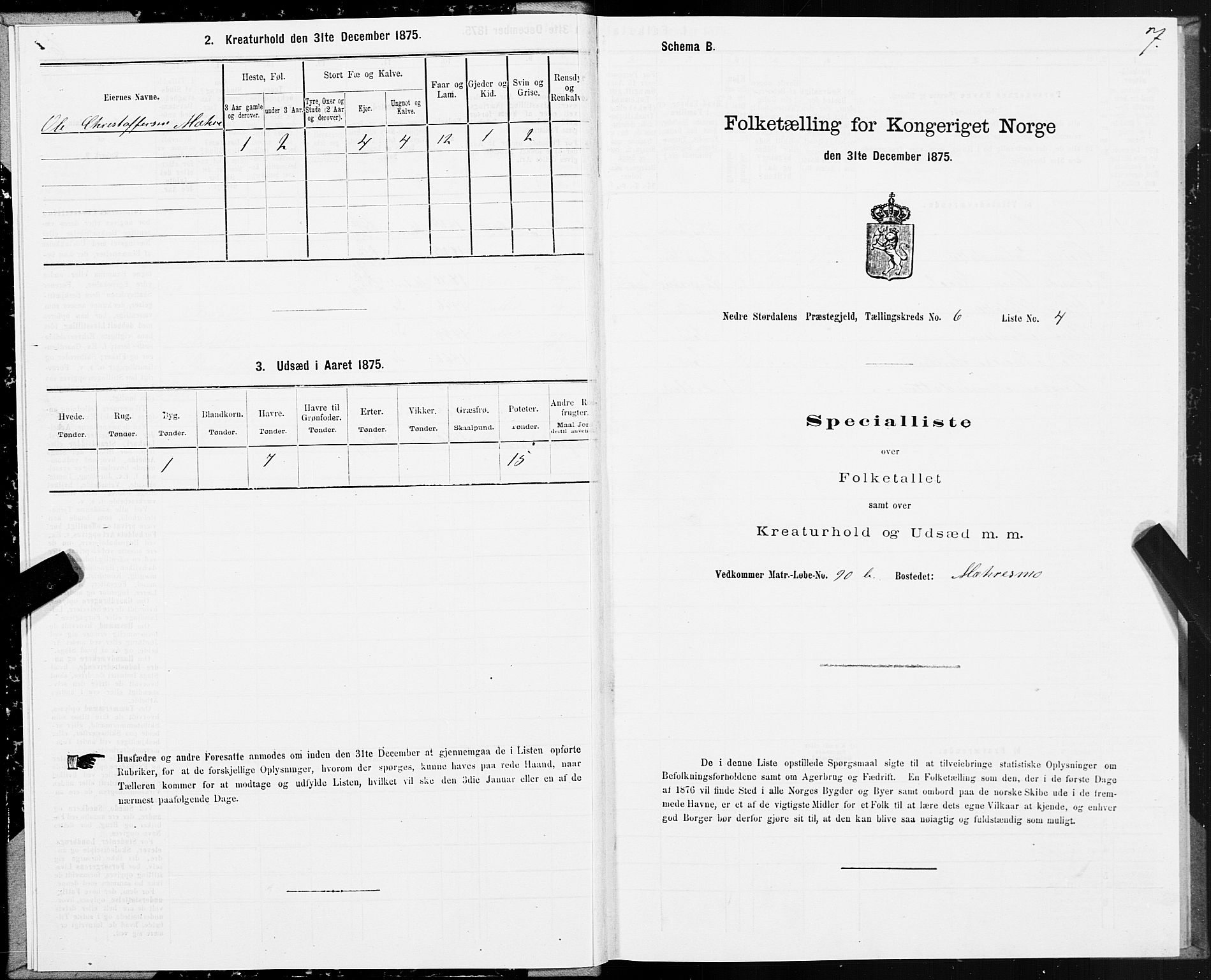 SAT, Folketelling 1875 for 1714P Nedre Stjørdal prestegjeld, 1875, s. 3007