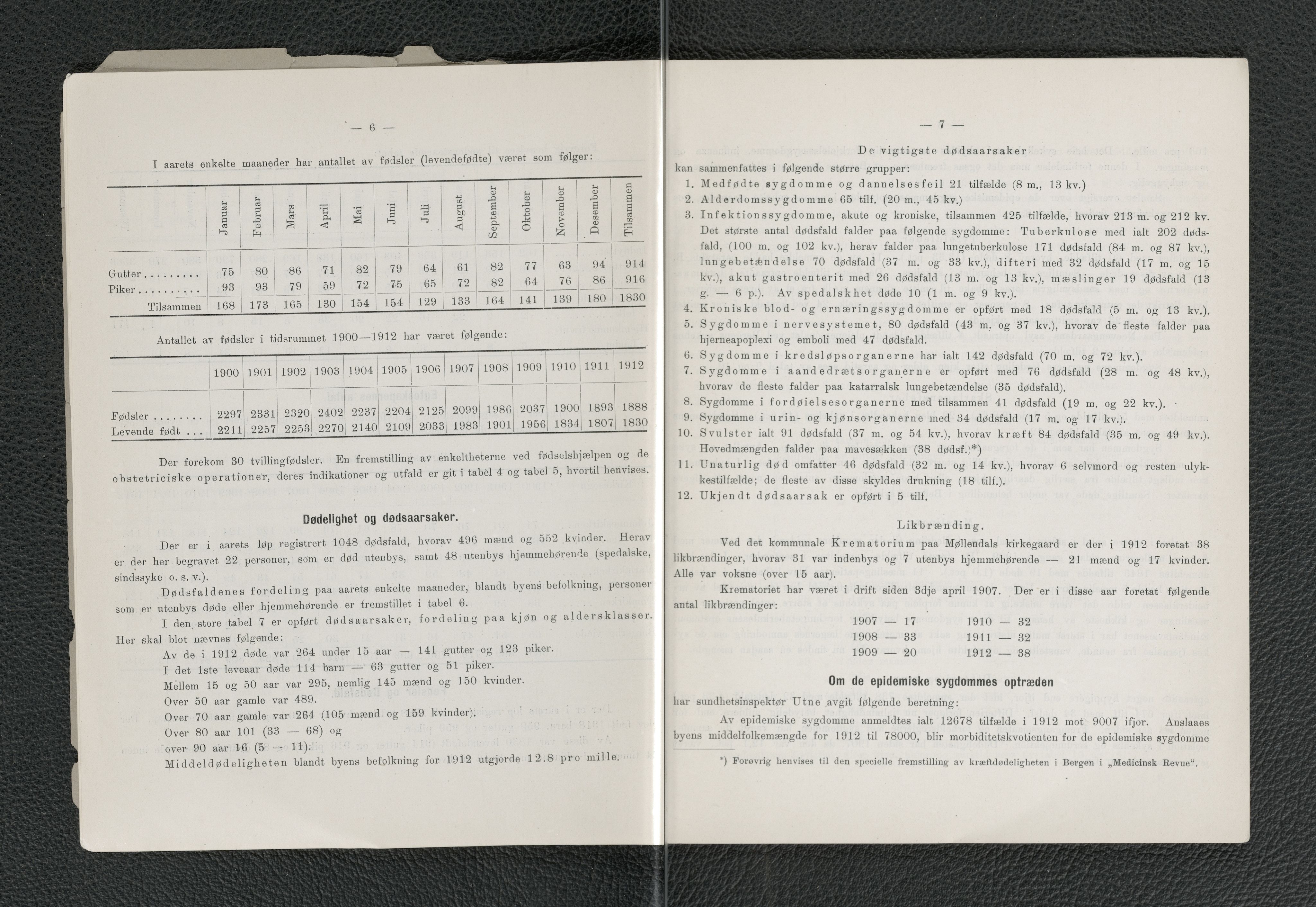 Bergen kommune, Sunnhetsvesen (Bergen helseråd), BBA/A-2617/X/Xa/L0005: Årsmelding, 1912