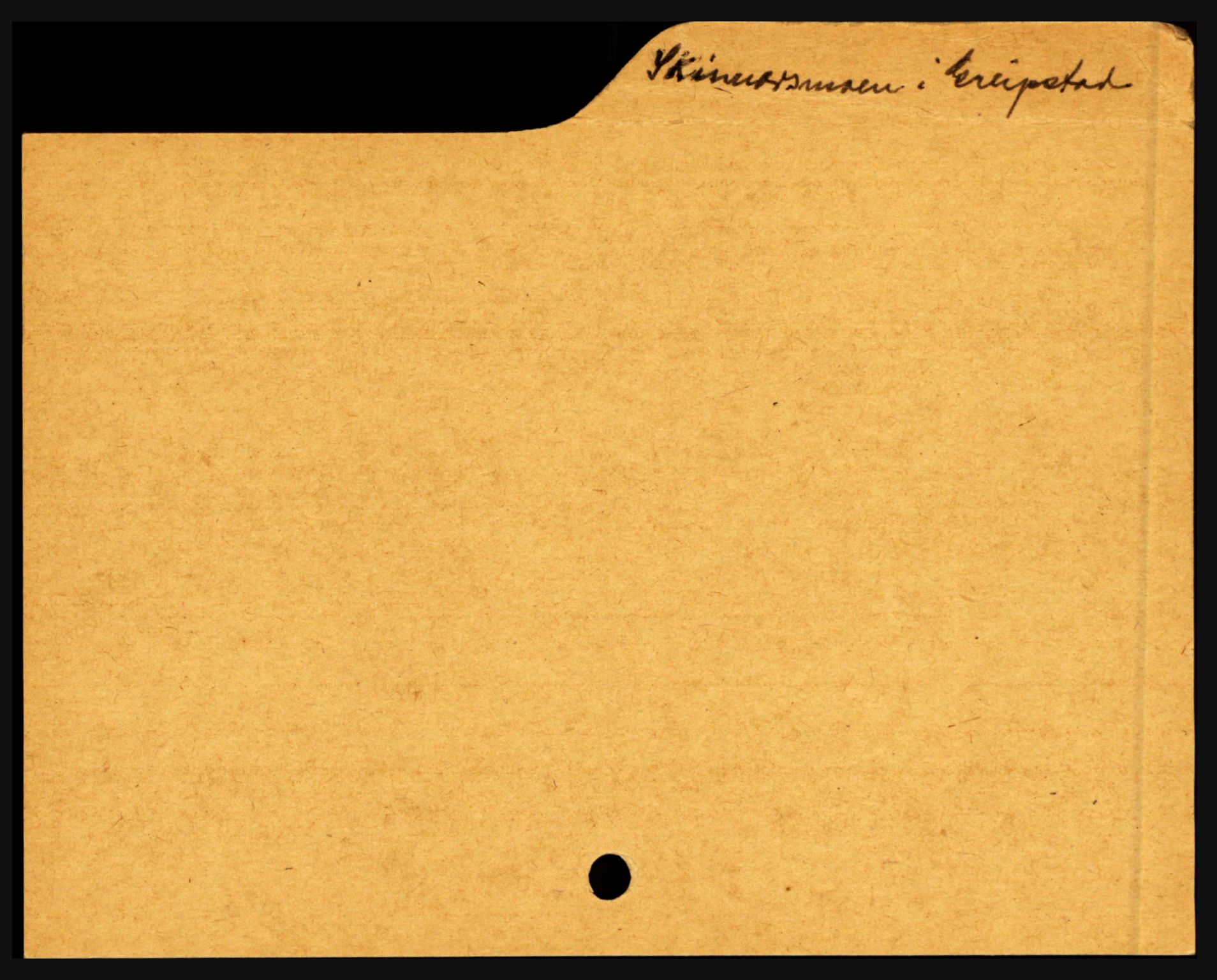 Mandal sorenskriveri, AV/SAK-1221-0005/001/H, s. 20100
