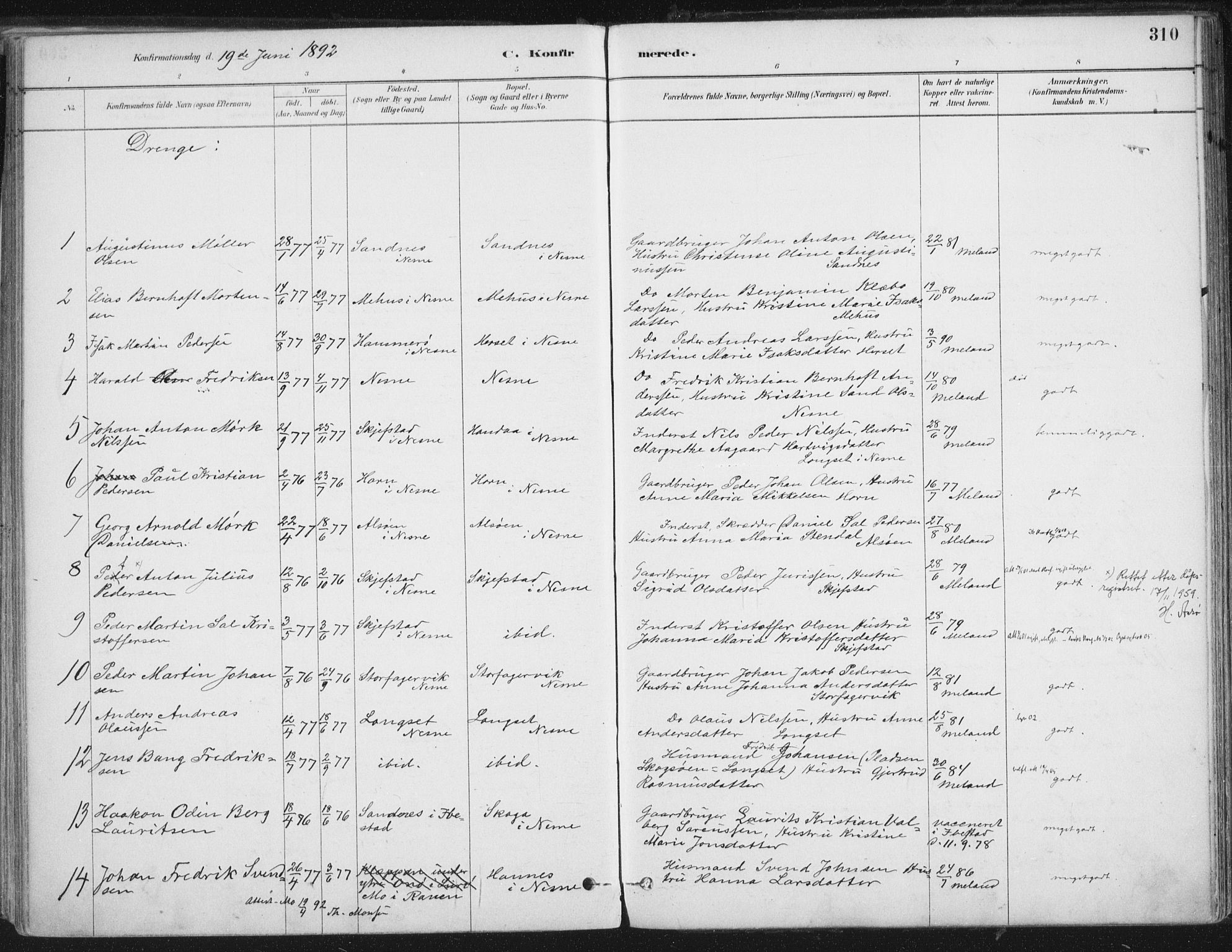 Ministerialprotokoller, klokkerbøker og fødselsregistre - Nordland, SAT/A-1459/838/L0552: Ministerialbok nr. 838A10, 1880-1910, s. 310
