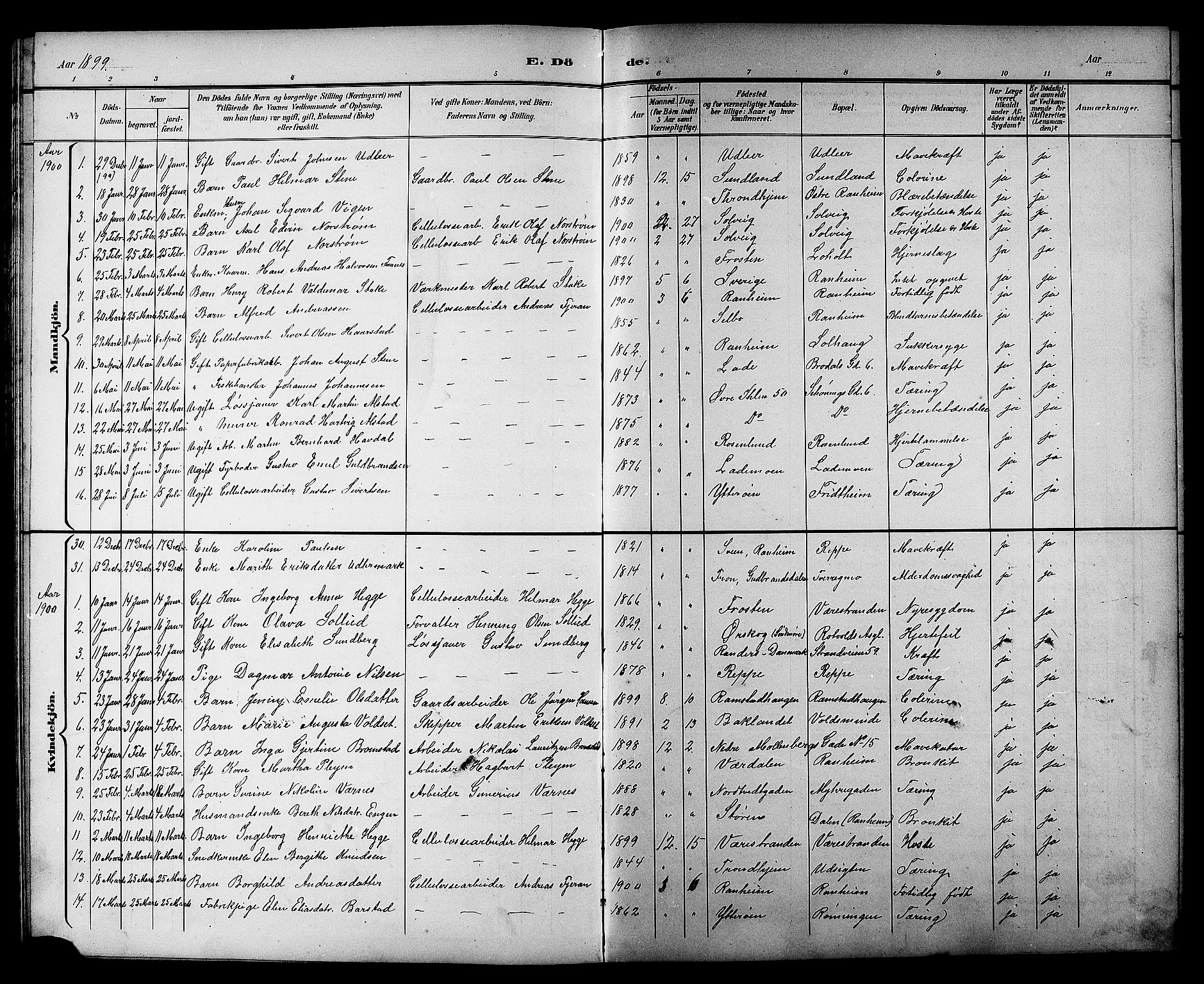 Ministerialprotokoller, klokkerbøker og fødselsregistre - Sør-Trøndelag, AV/SAT-A-1456/606/L0313: Klokkerbok nr. 606C09, 1895-1910
