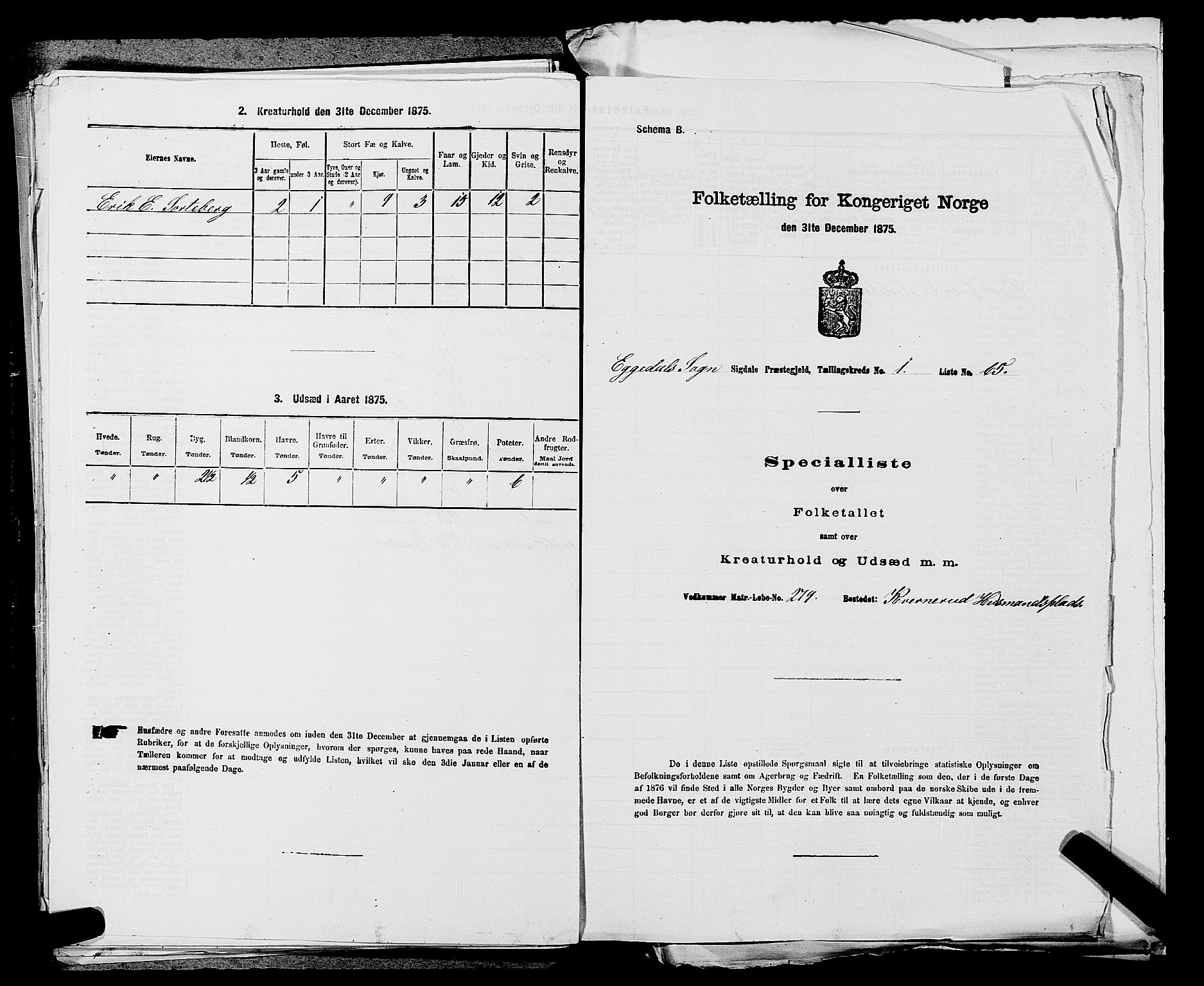 SAKO, Folketelling 1875 for 0621P Sigdal prestegjeld, 1875, s. 2002