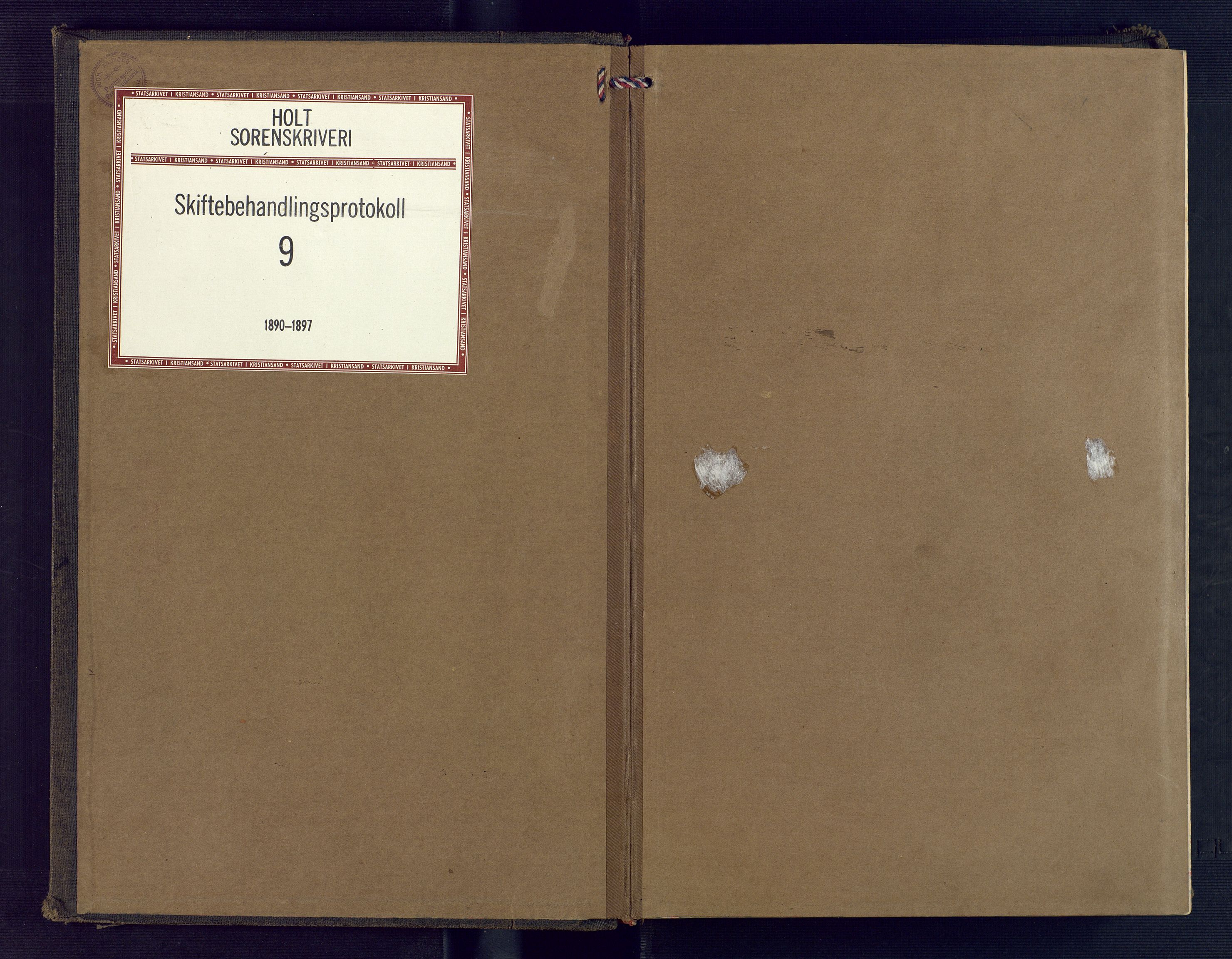 Holt sorenskriveri, SAK/1221-0002/H/Hc/L0018: Skiftebehandlingsprotokoll nr. 9, 1890-1897