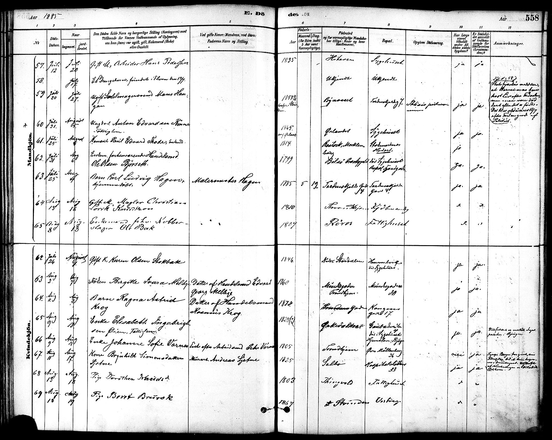 Ministerialprotokoller, klokkerbøker og fødselsregistre - Sør-Trøndelag, AV/SAT-A-1456/601/L0058: Ministerialbok nr. 601A26, 1877-1891, s. 558