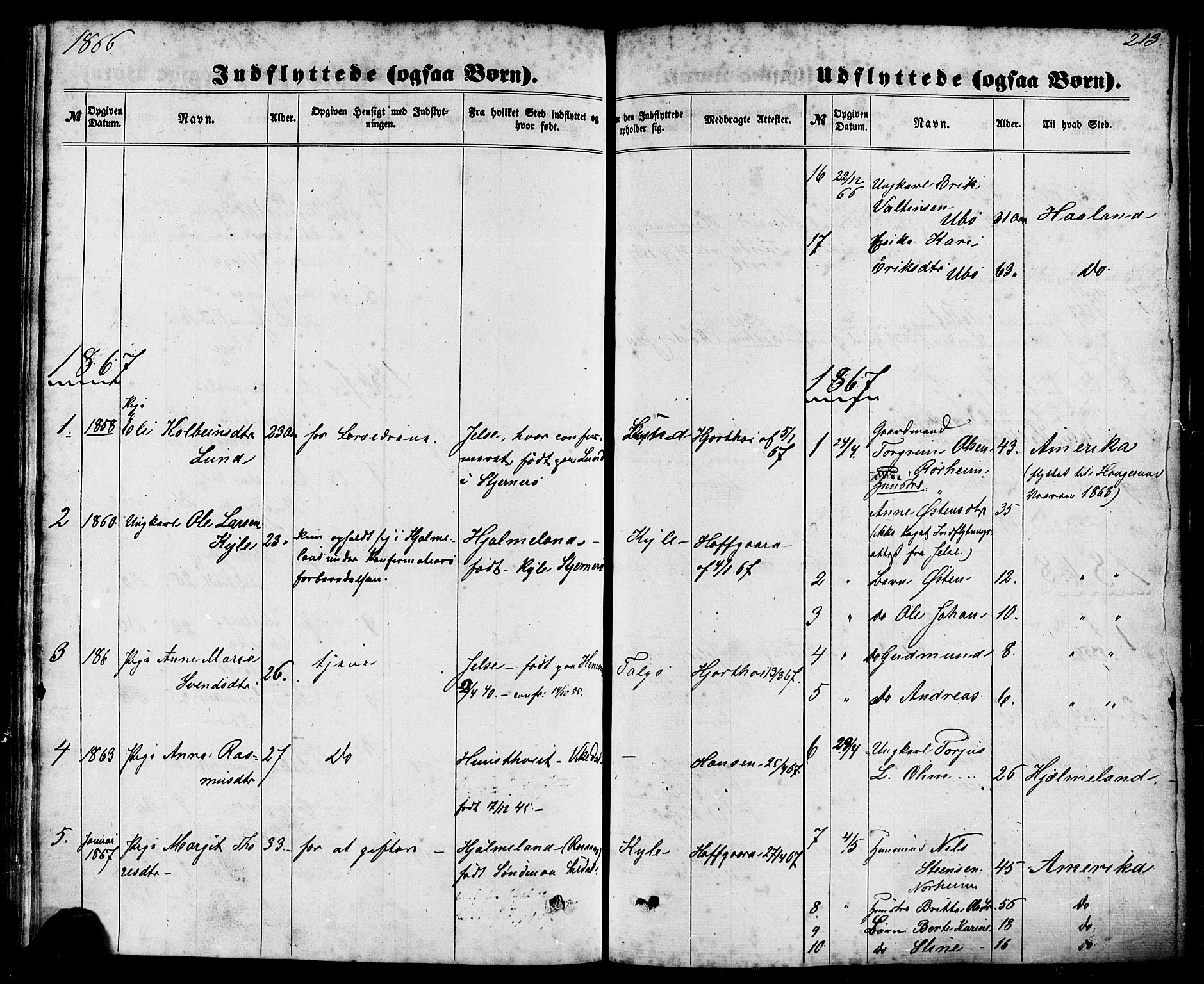 Nedstrand sokneprestkontor, SAST/A-101841/01/IV: Ministerialbok nr. A 10, 1861-1887, s. 213