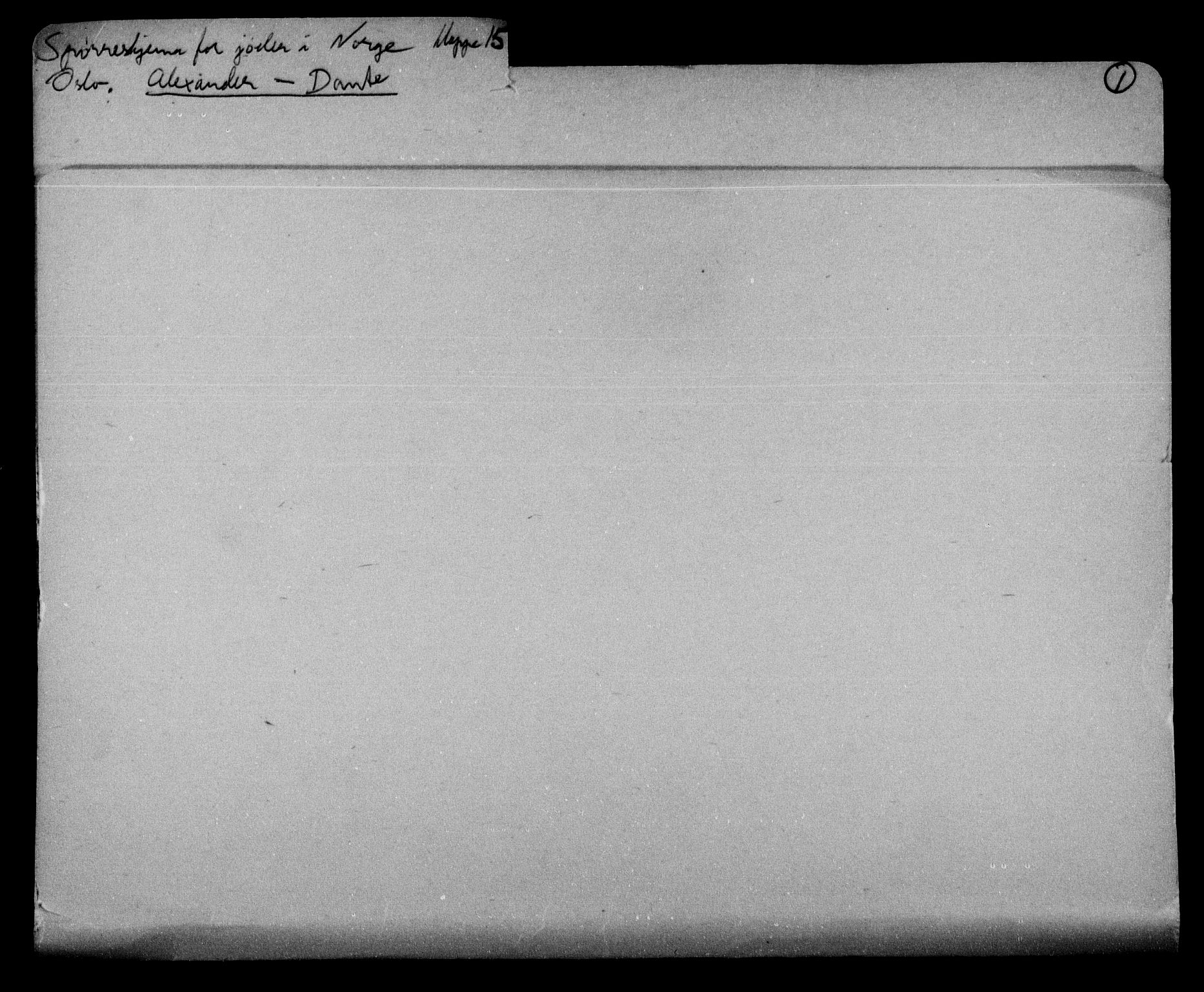 Statspolitiet - Hovedkontoret / Osloavdelingen, AV/RA-S-1329/G/Ga/L0009: Spørreskjema for jøder i Norge: Jøder bosatt i Oslo, Alexander - Gutman, 1942, s. 2