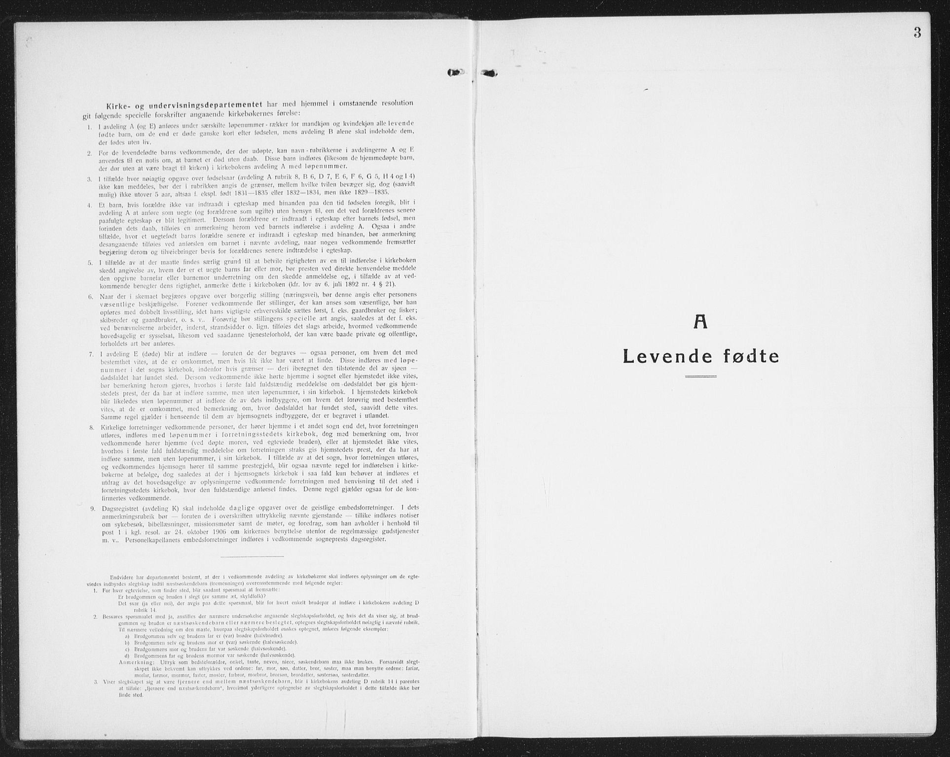 Ministerialprotokoller, klokkerbøker og fødselsregistre - Nordland, SAT/A-1459/855/L0817: Klokkerbok nr. 855C06, 1917-1934, s. 3