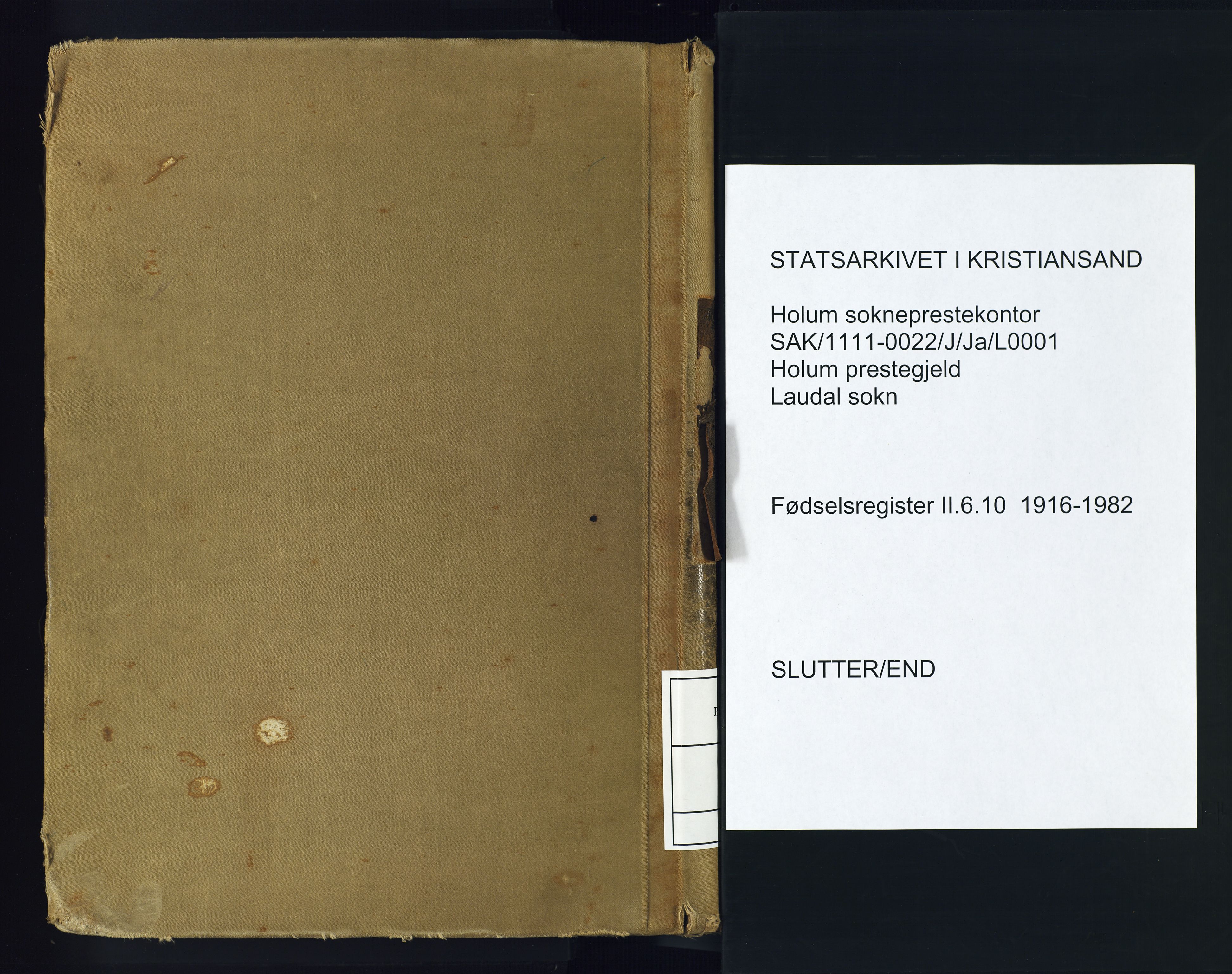 Holum sokneprestkontor, SAK/1111-0022/J/Ja/L0001: Fødselsregister nr. II.6.10, 1916-1982