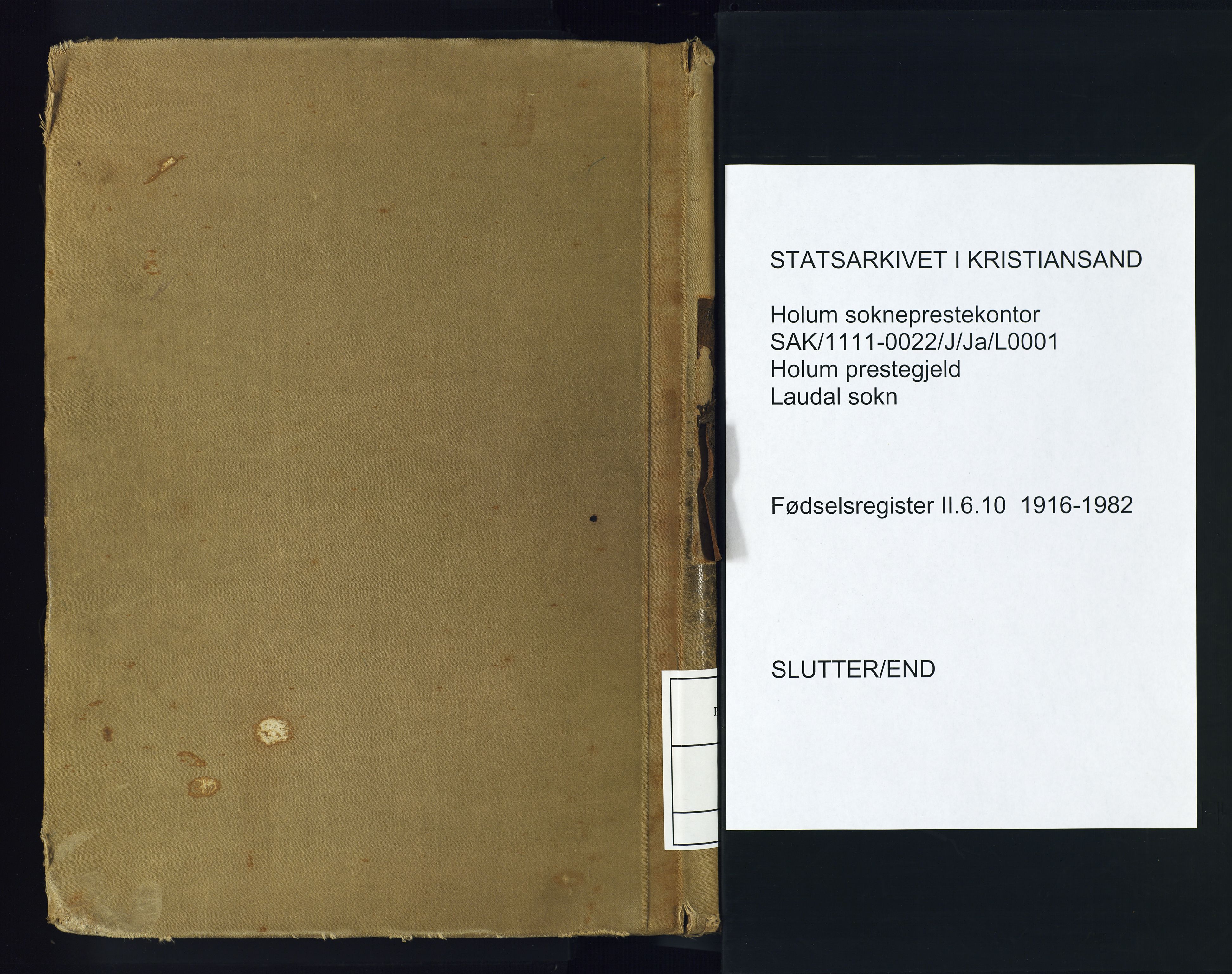 Holum sokneprestkontor, AV/SAK-1111-0022/J/Ja/L0001: Fødselsregister nr. II.6.10, 1916-1982