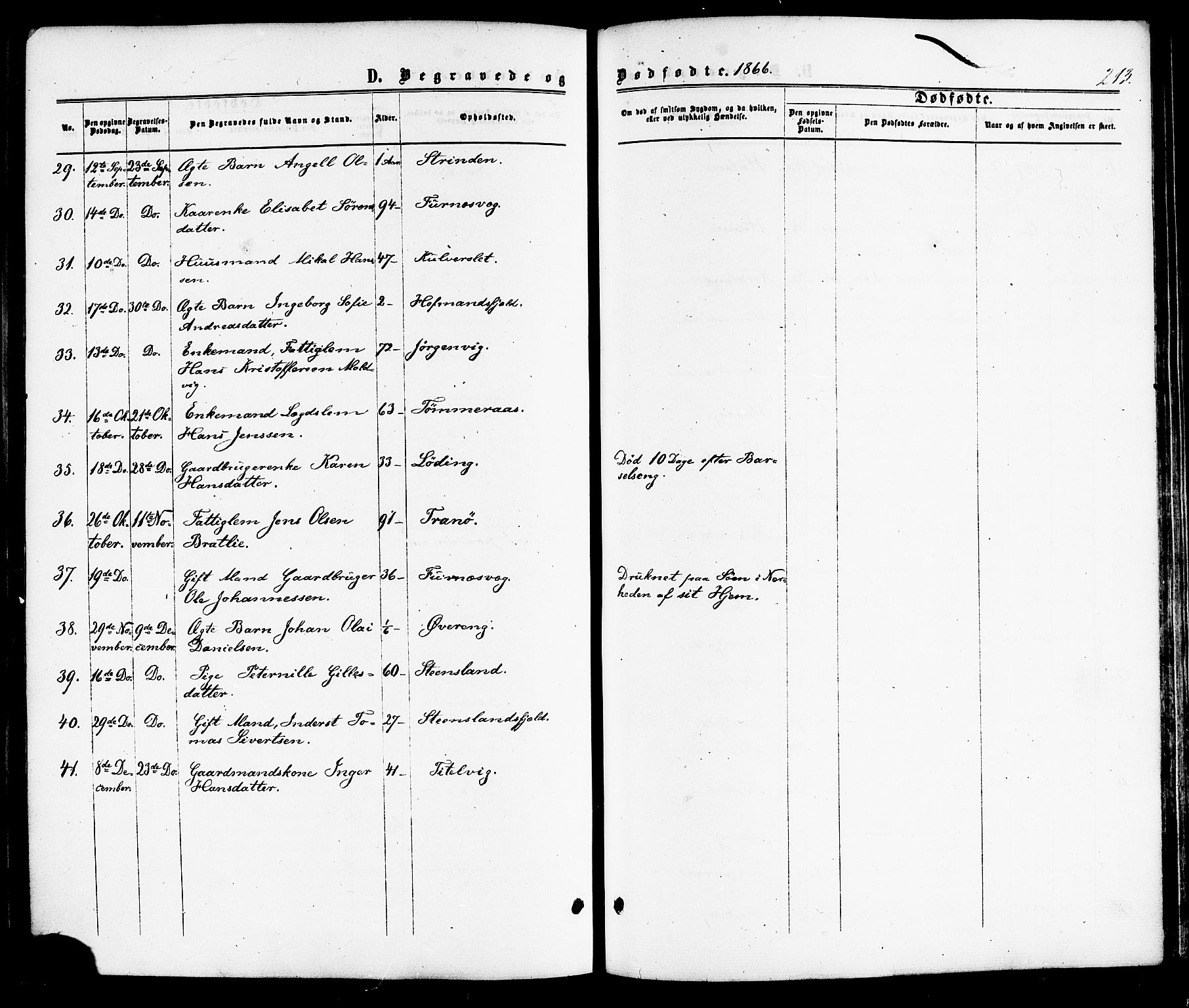 Ministerialprotokoller, klokkerbøker og fødselsregistre - Nordland, SAT/A-1459/859/L0845: Ministerialbok nr. 859A05, 1863-1877, s. 213