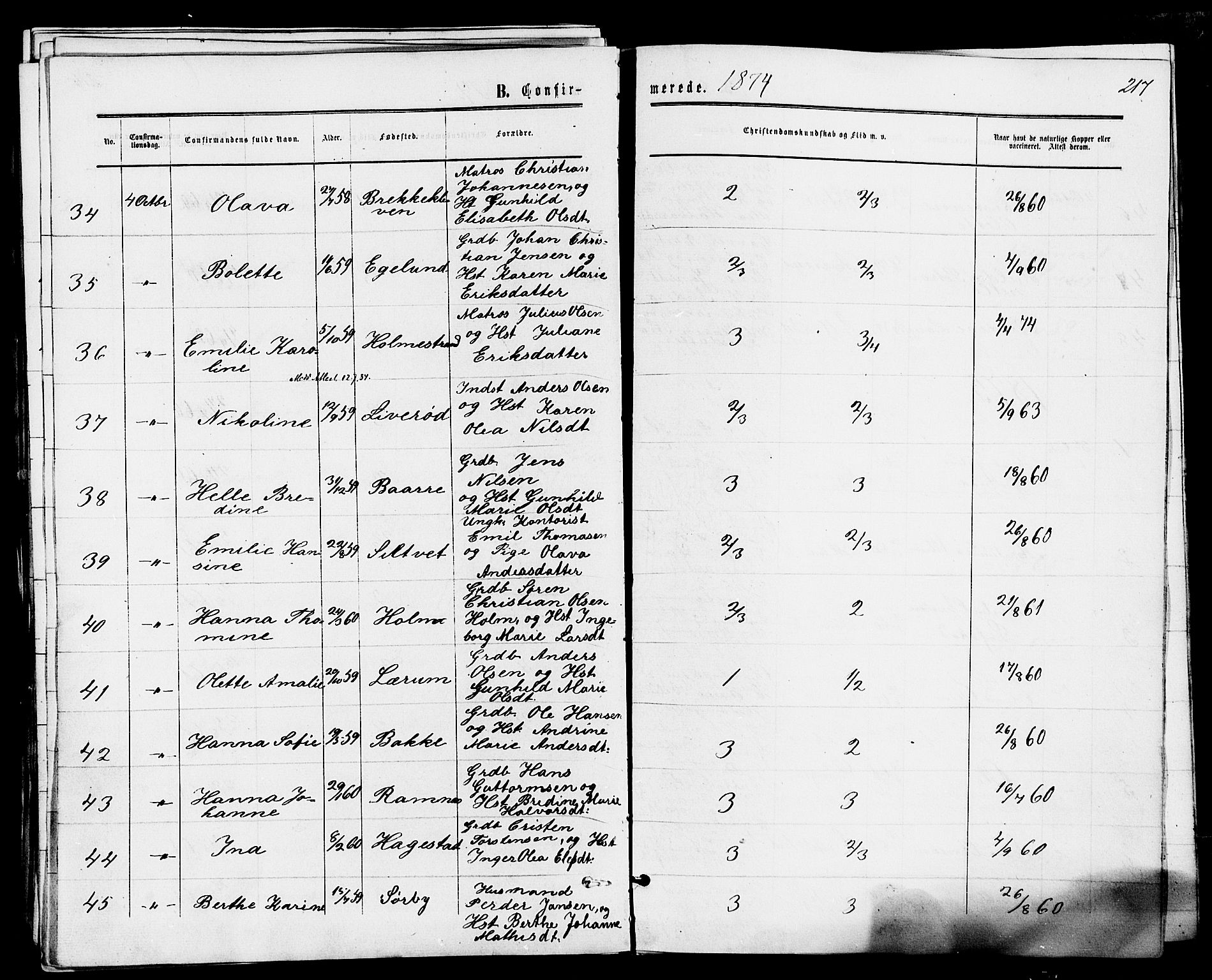 Våle kirkebøker, AV/SAKO-A-334/F/Fa/L0010: Ministerialbok nr. I 10, 1861-1877, s. 217