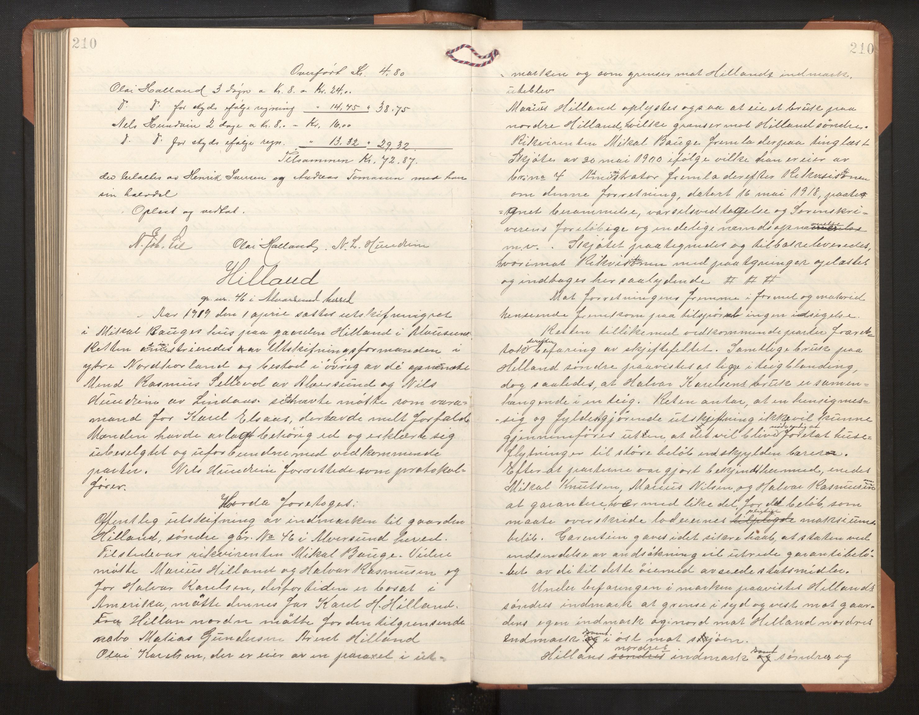 Hordaland jordskiftedøme - II Ytre Nordhordland jordskiftedistrikt, AV/SAB-A-6901/A/Aa/L0030: Forhandlingsprotokoll, 1917-1919, s. 210