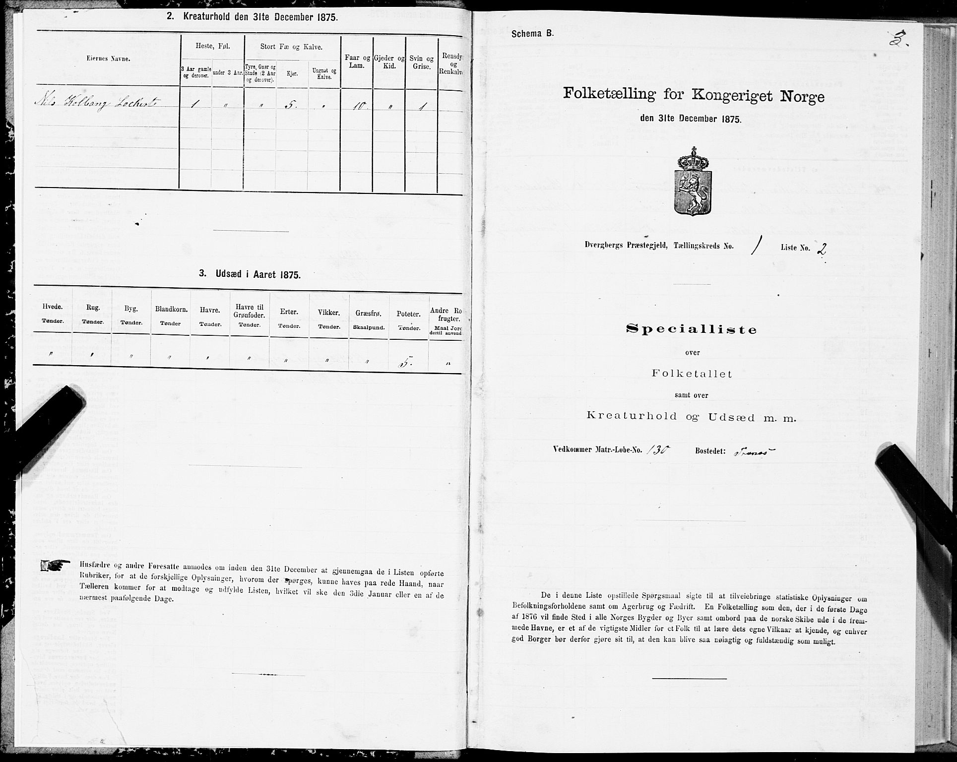 SAT, Folketelling 1875 for 1872P Dverberg prestegjeld, 1875, s. 1003