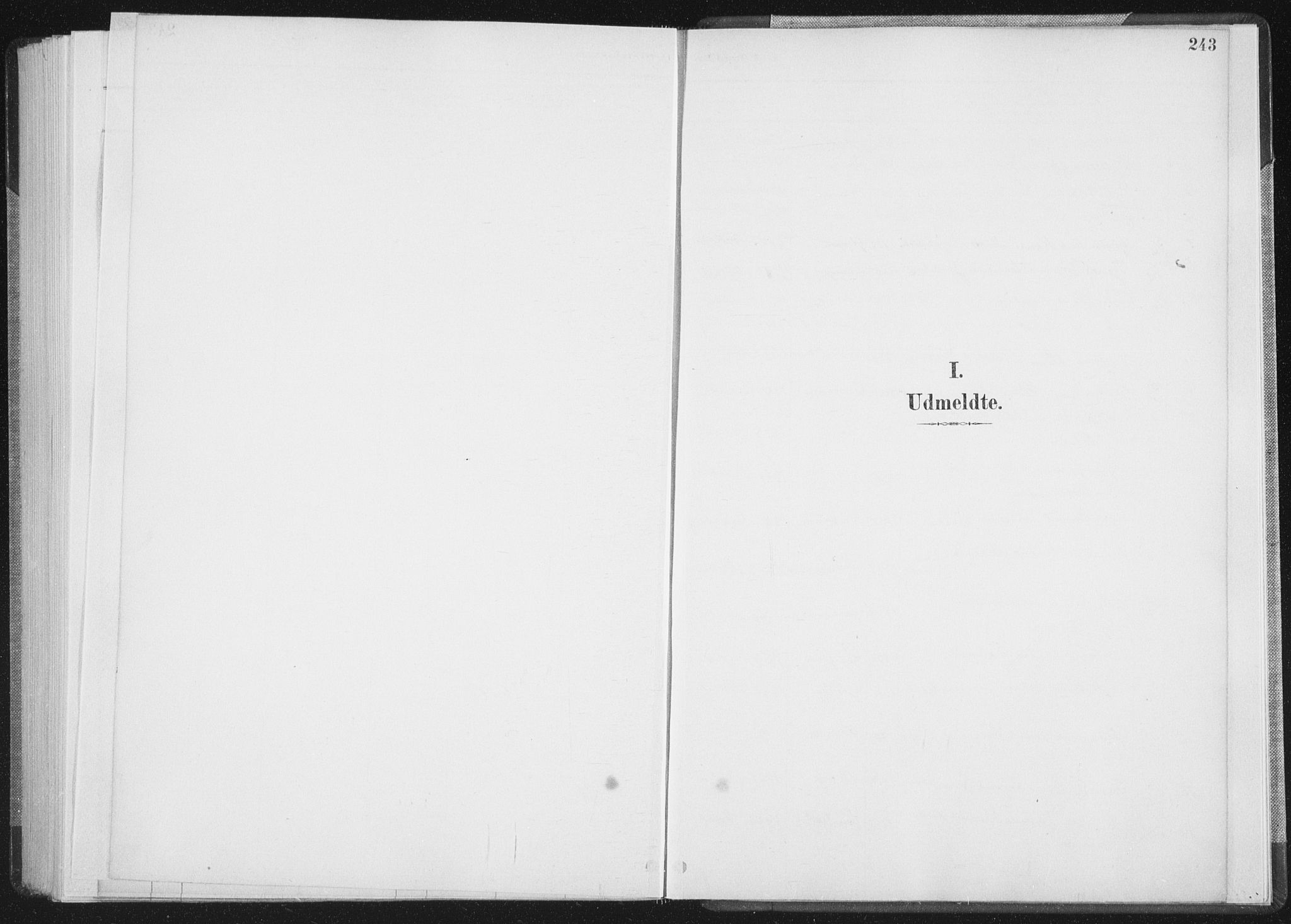 Ministerialprotokoller, klokkerbøker og fødselsregistre - Nordland, SAT/A-1459/898/L1422: Ministerialbok nr. 898A02, 1887-1908, s. 243