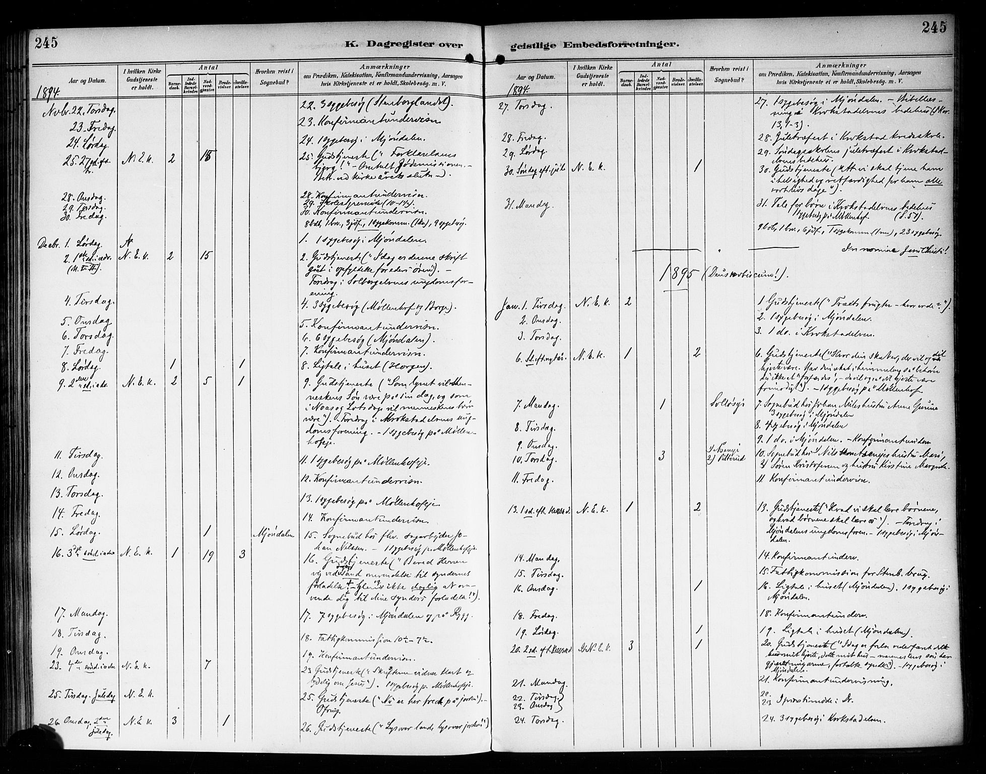 Nedre Eiker kirkebøker, AV/SAKO-A-612/F/Fa/L0004: Ministerialbok nr. 4, 1893-1898, s. 245