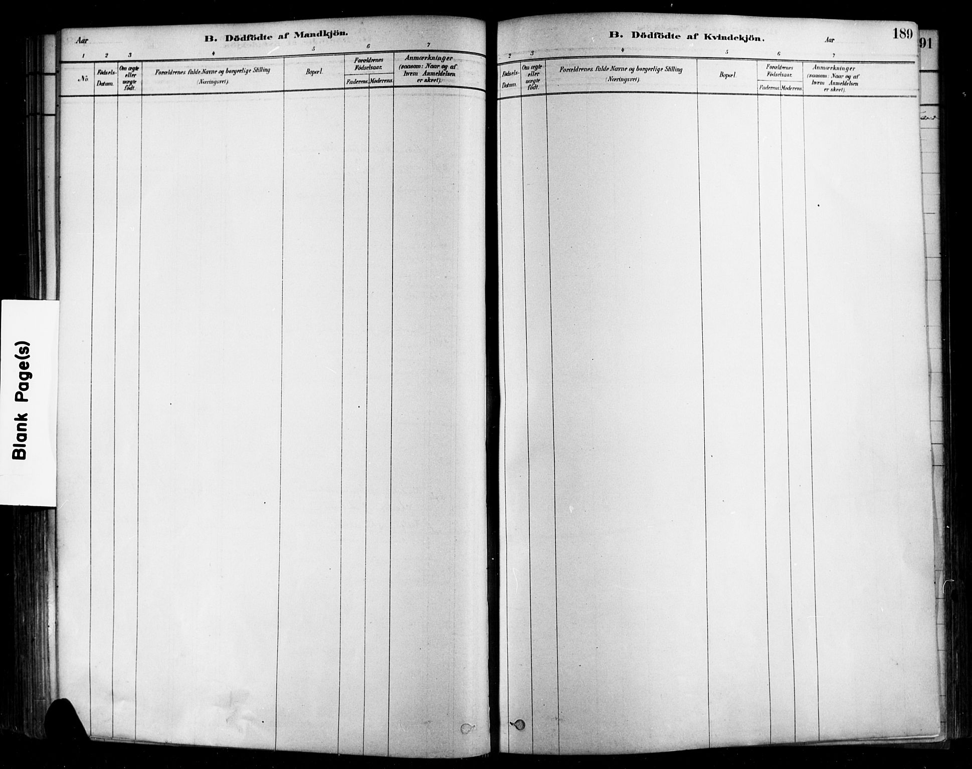 Rygge prestekontor Kirkebøker, AV/SAO-A-10084b/F/Fa/L0007: Ministerialbok nr. 7, 1878-1904, s. 189