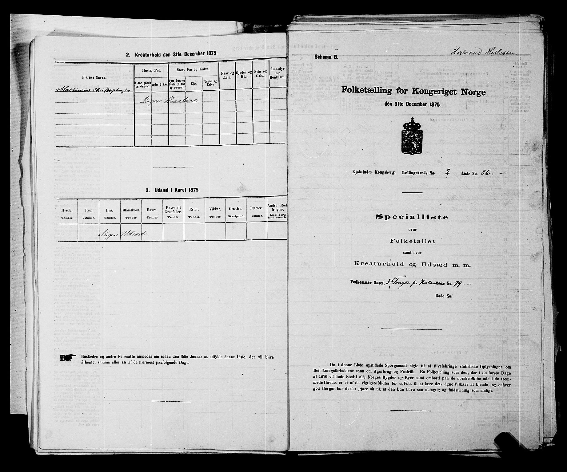 SAKO, Folketelling 1875 for 0604B Kongsberg prestegjeld, Kongsberg kjøpstad, 1875, s. 220