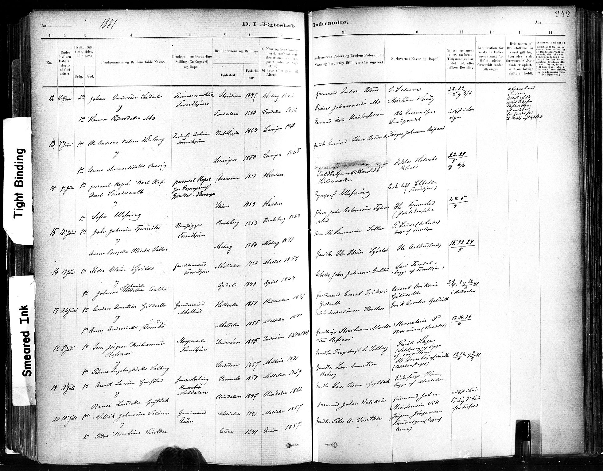 Ministerialprotokoller, klokkerbøker og fødselsregistre - Sør-Trøndelag, SAT/A-1456/602/L0119: Ministerialbok nr. 602A17, 1880-1901, s. 242