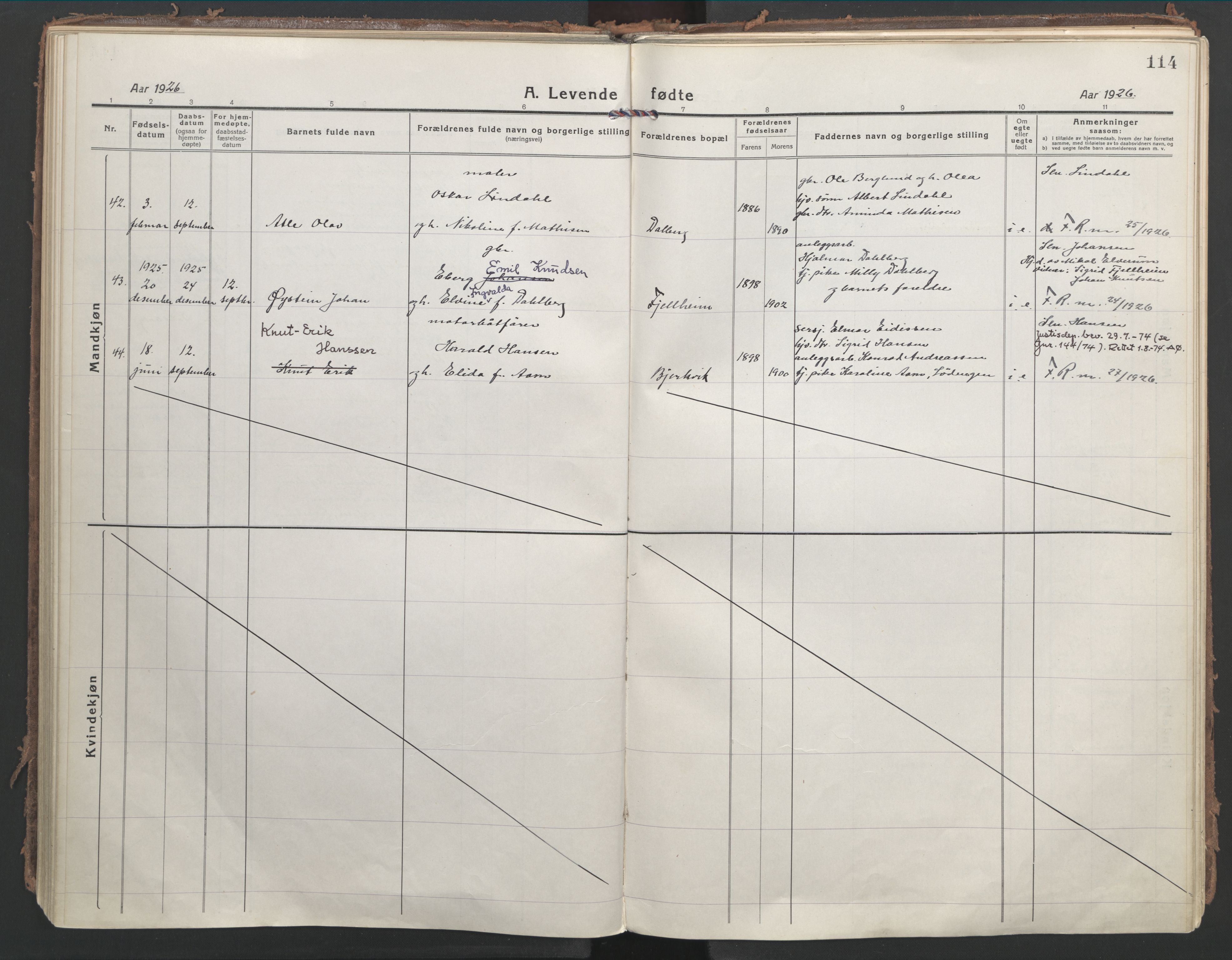 Ministerialprotokoller, klokkerbøker og fødselsregistre - Nordland, AV/SAT-A-1459/866/L0945: Ministerialbok nr. 866A08, 1917-1935, s. 114