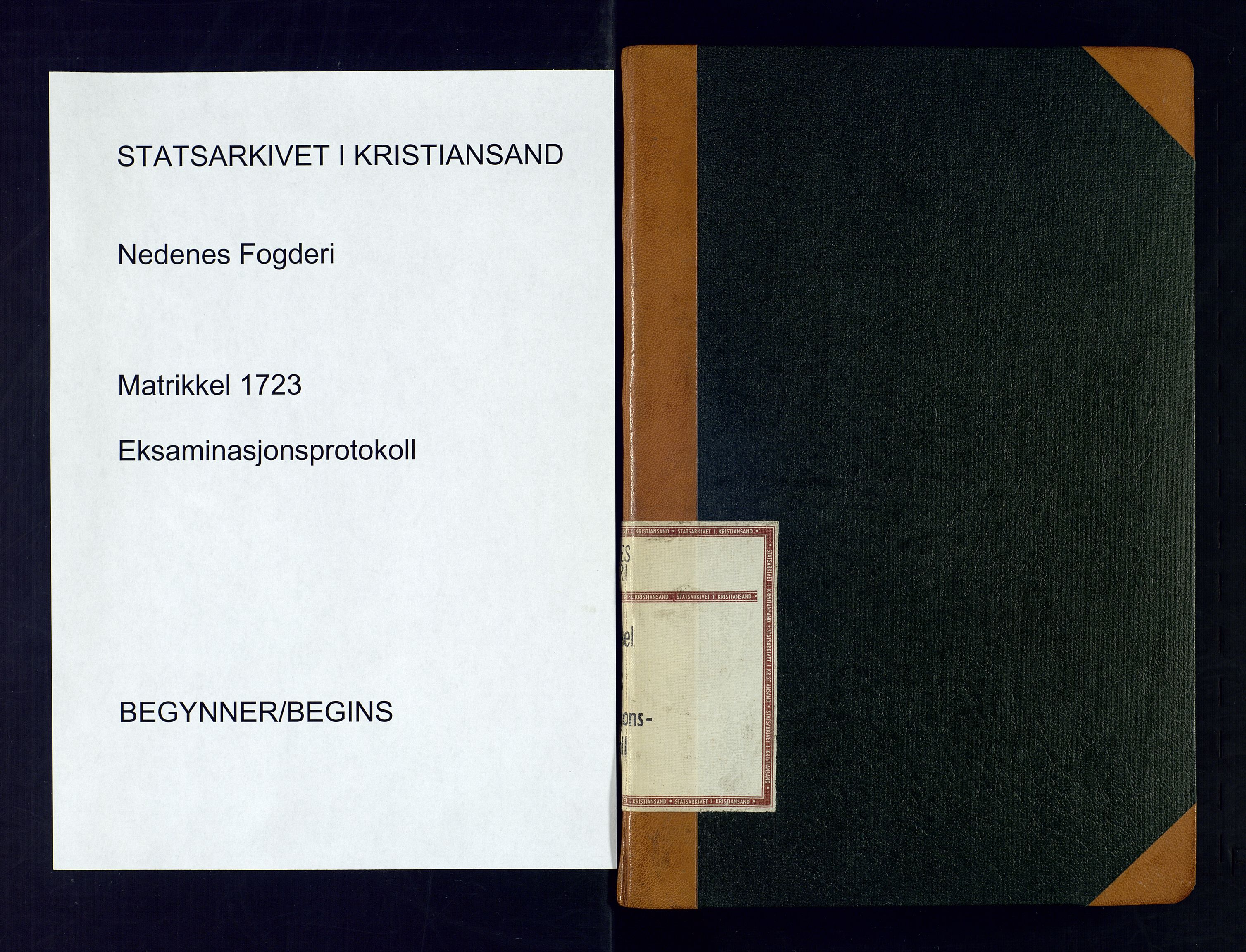 Nedenes fogderi, SAK/1242-0006/Hb/L0481: Matrikkel, eksaminasjonsprotokoll, 1723