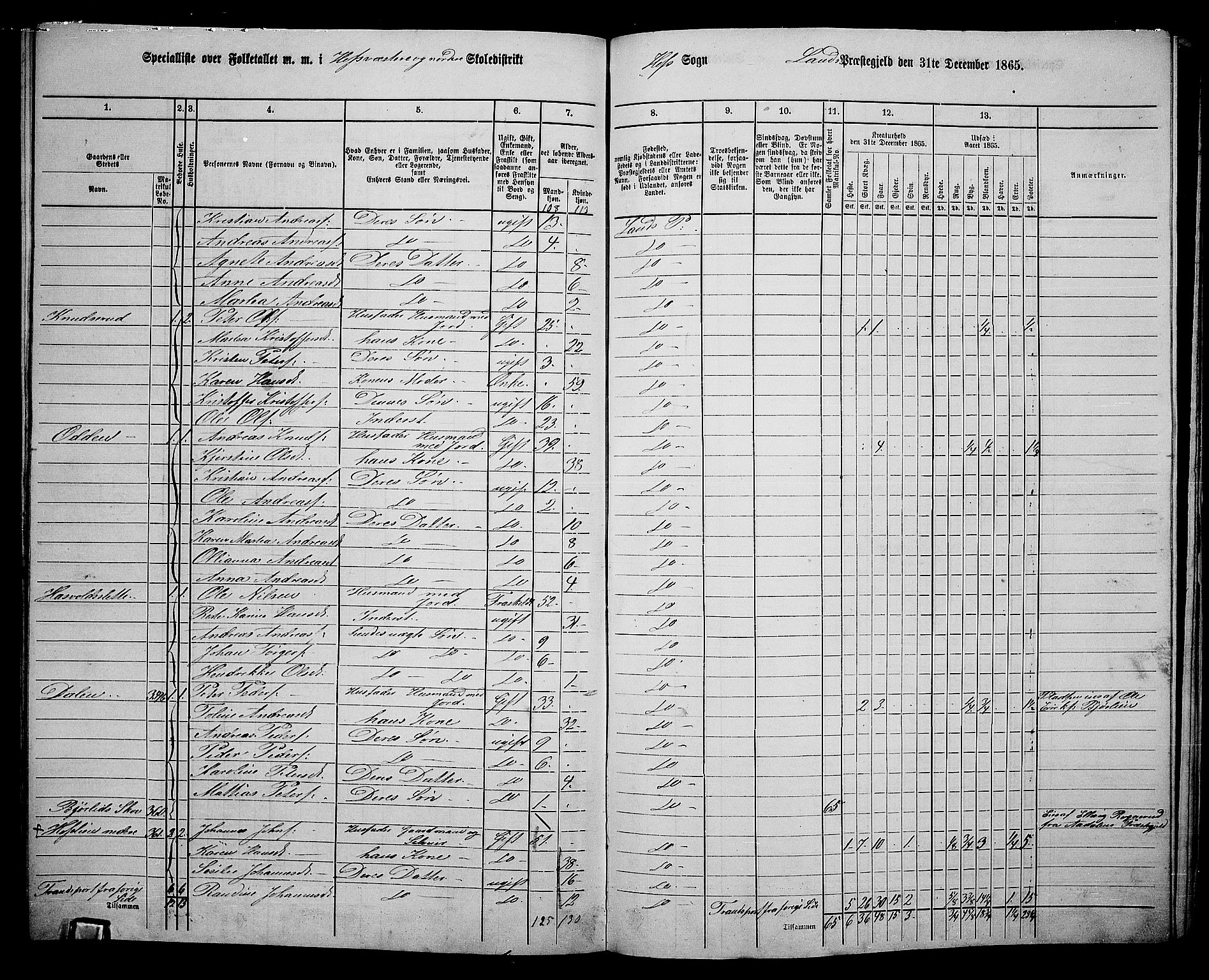 RA, Folketelling 1865 for 0536P Land prestegjeld, 1865, s. 412