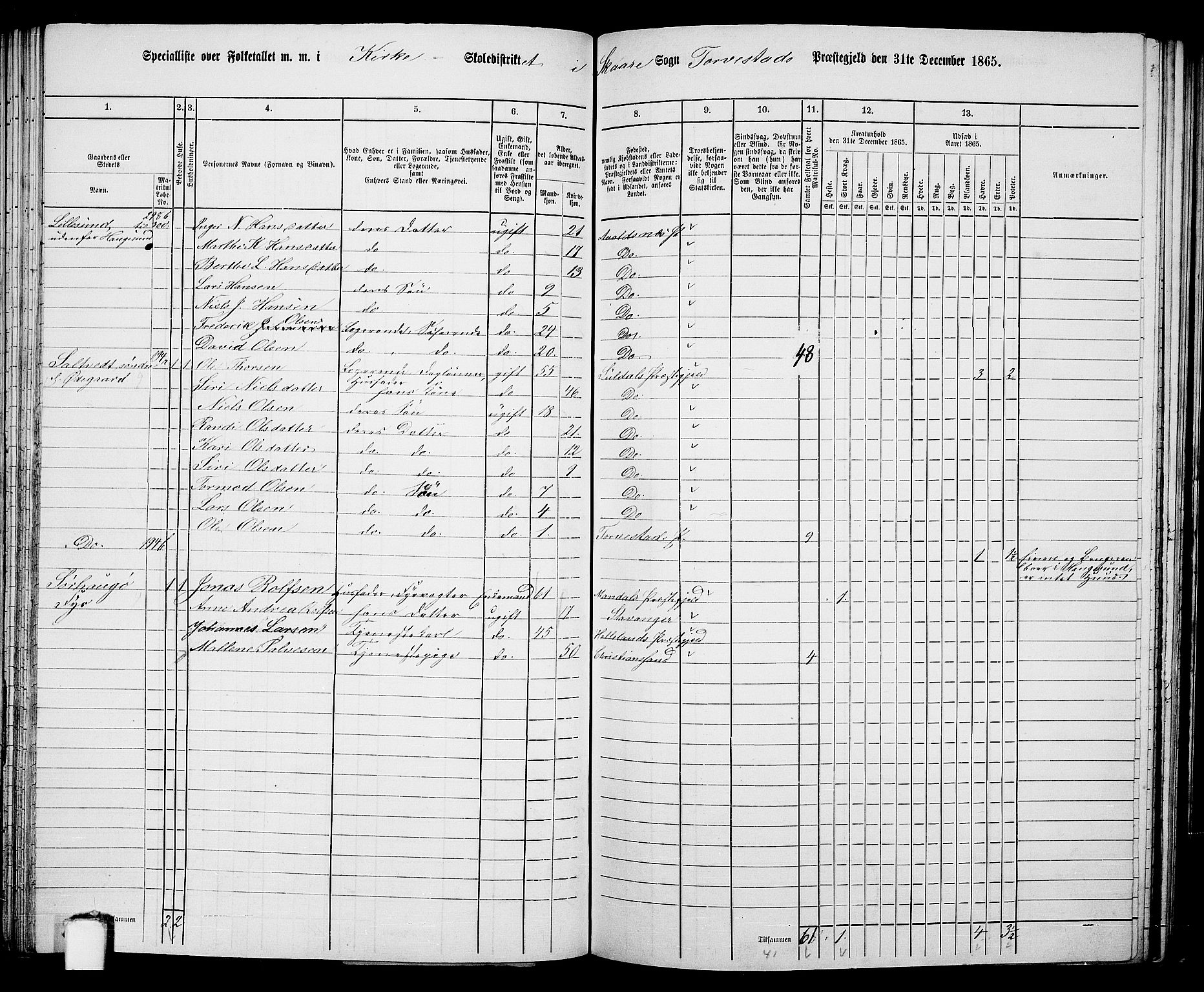 RA, Folketelling 1865 for 1152L Torvastad prestegjeld, Torvastad sokn, Skåre sokn og Utsira sokn, 1865, s. 96