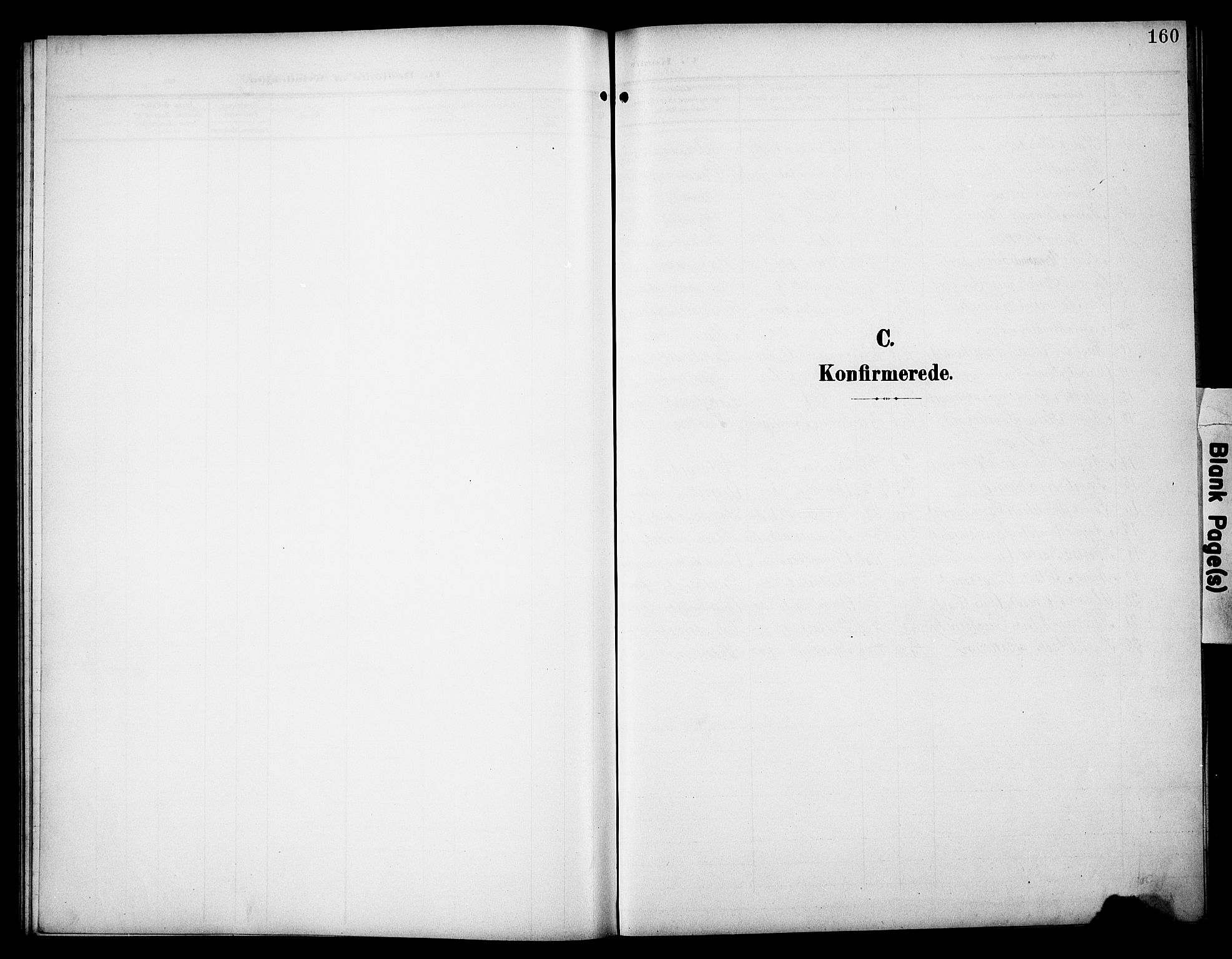 Åsnes prestekontor, SAH/PREST-042/H/Ha/Hab/L0006: Klokkerbok nr. 6, 1903-1929, s. 160